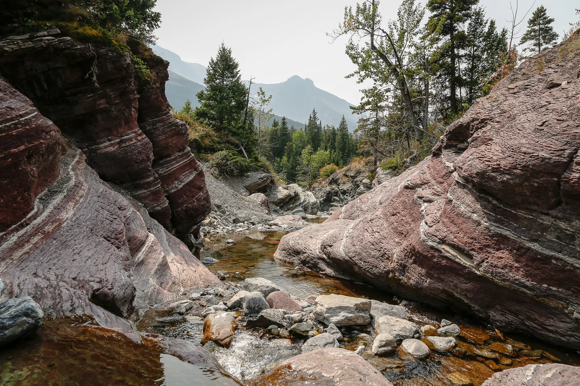 LouDahl_02_MG_7571.jpg