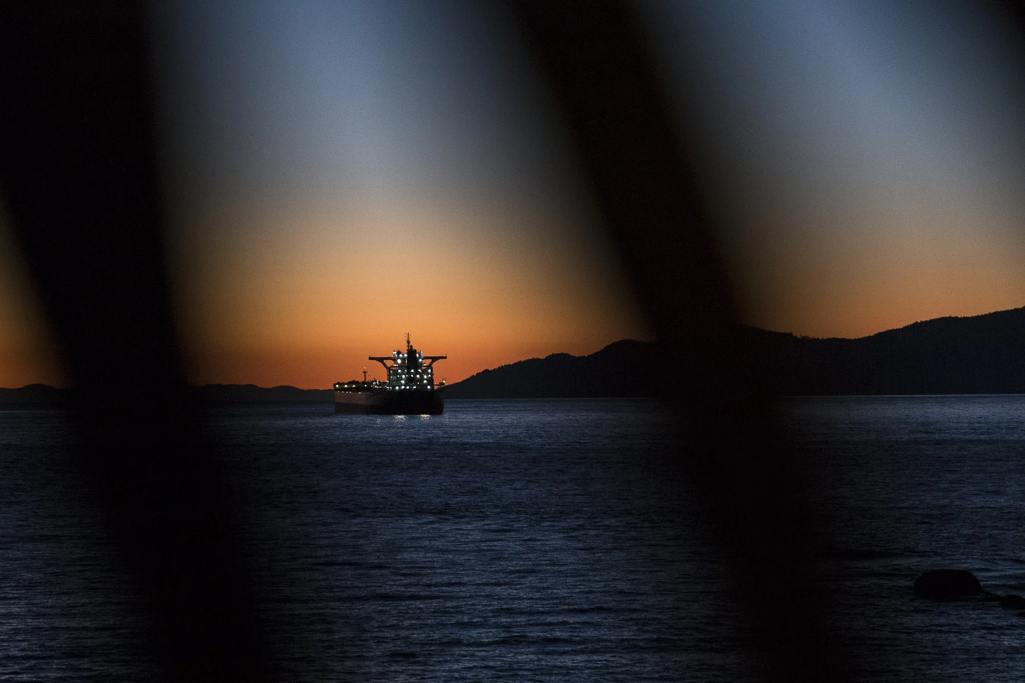 Spring Came...Spring Left 