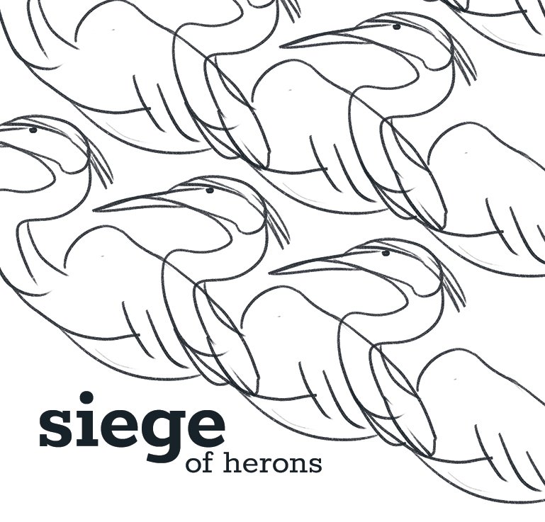 A20 - Siege of herons@0.25x.jpg