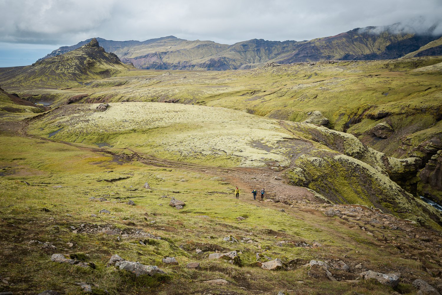 Lou Dahl_MG_9036_Iceland.jpg