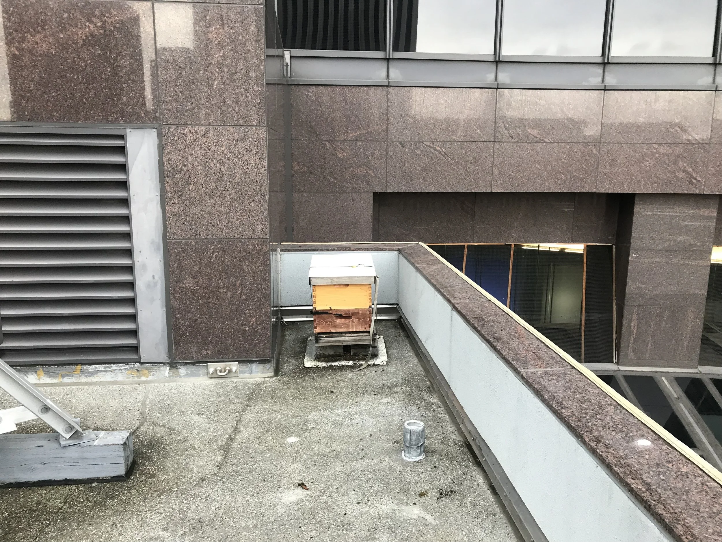 Inspection Report - 6/23/2018