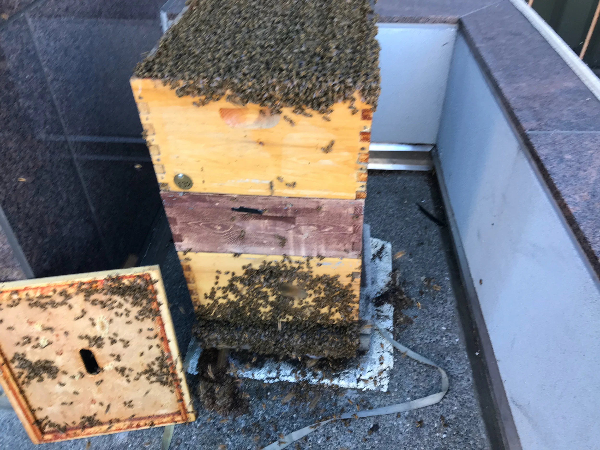 Inspection Report - 7/22/2018