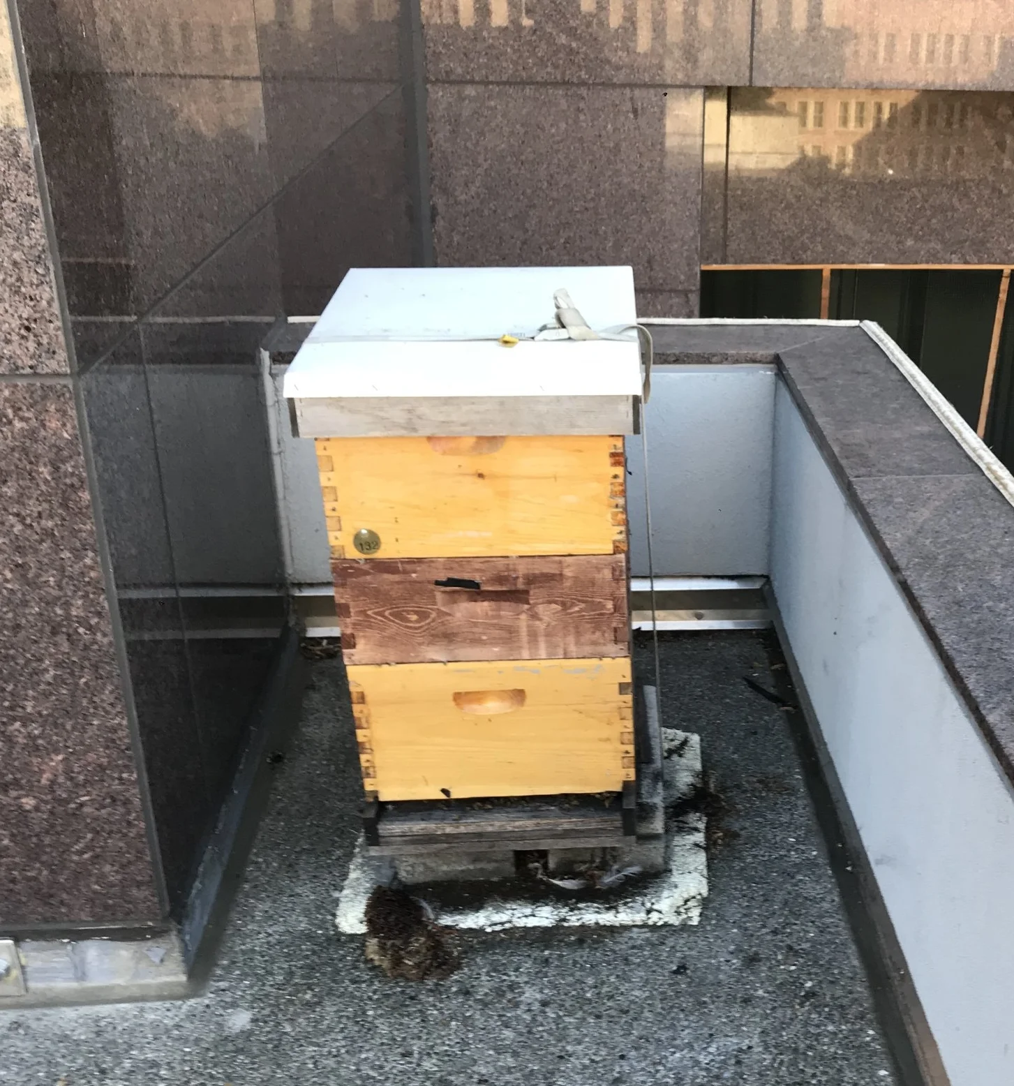 Inspection Report - 8/18/2018