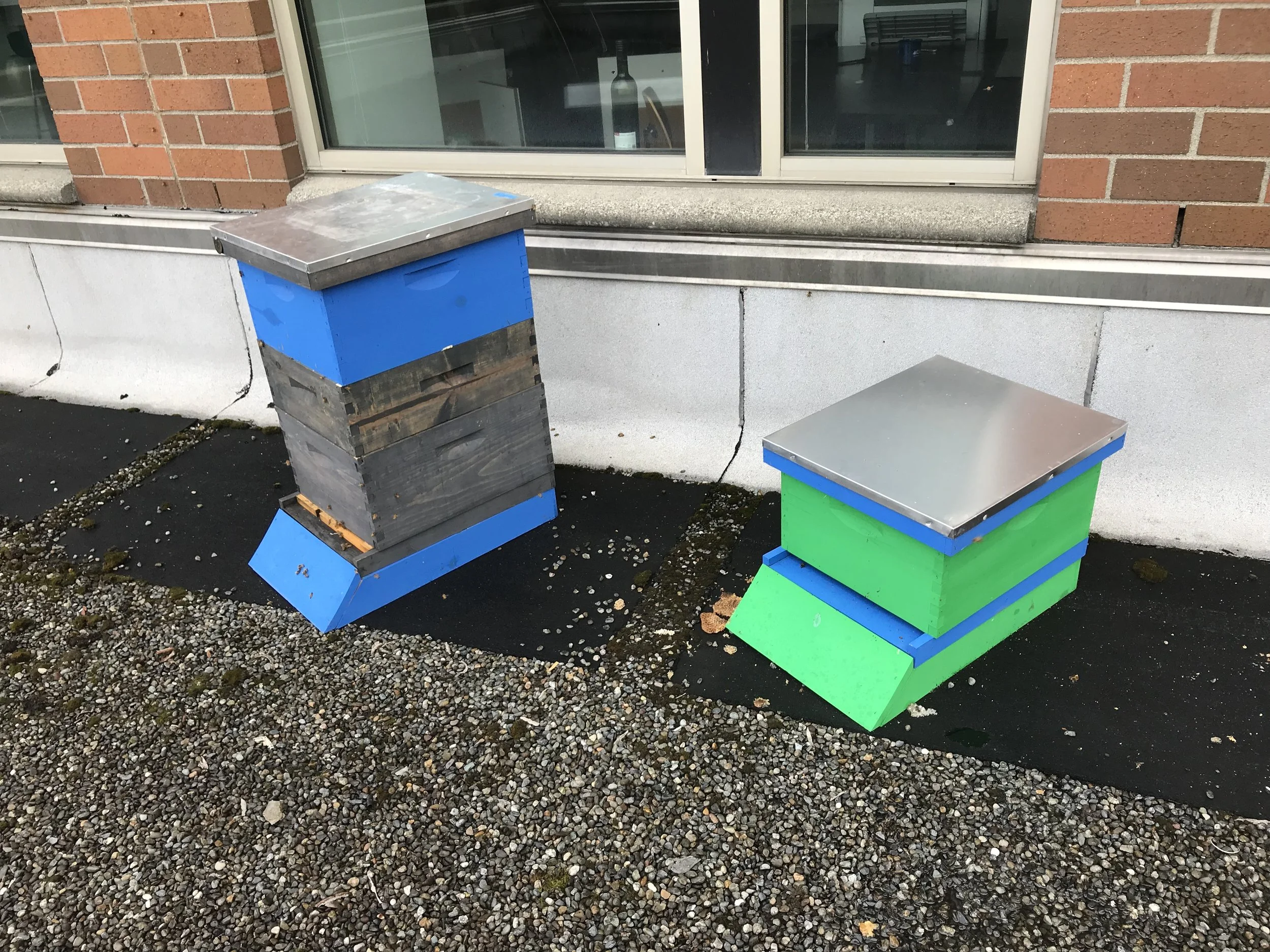 Inspection Report - 10/6/2018