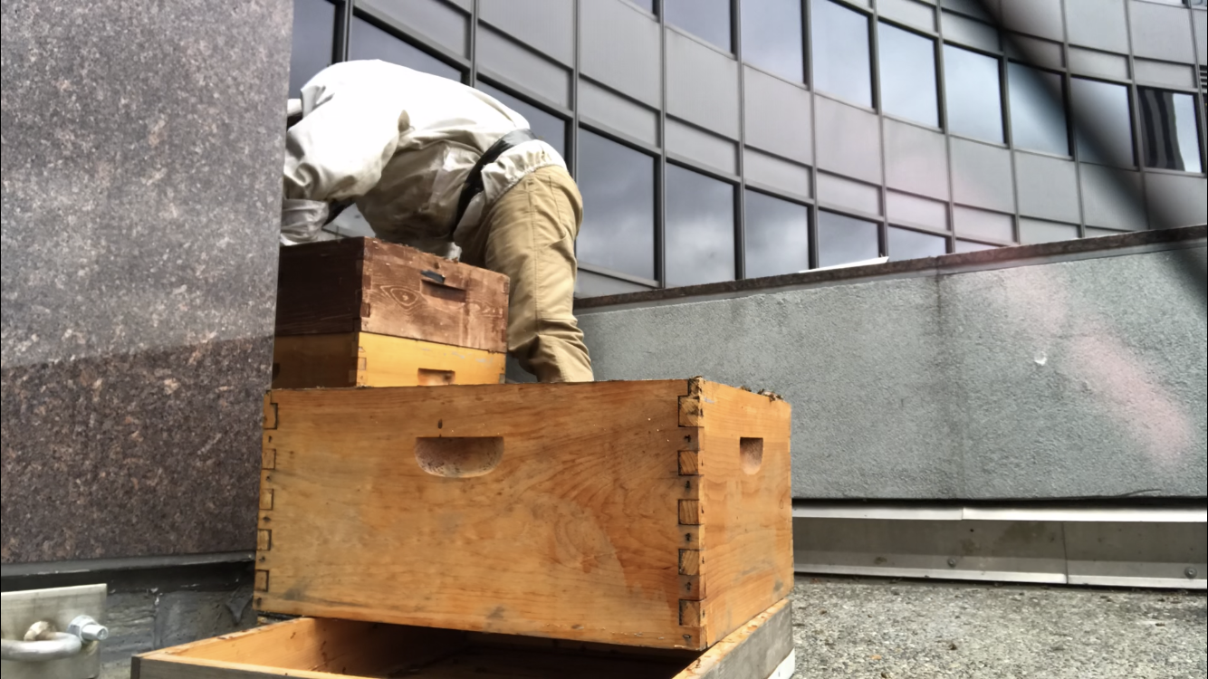 Inspection Report - 10/06/2018