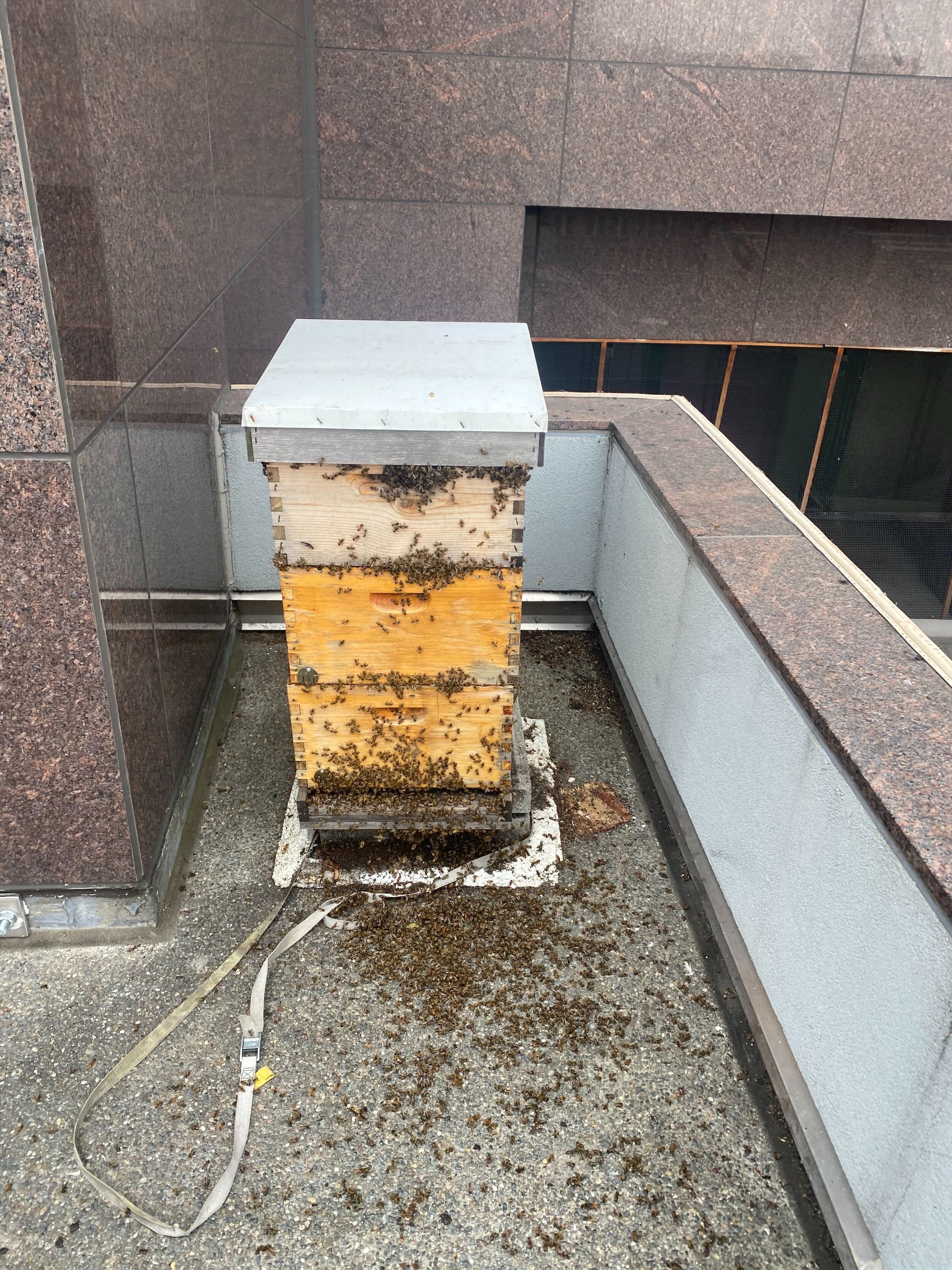 Inspection Report - JULY/AUG 2020