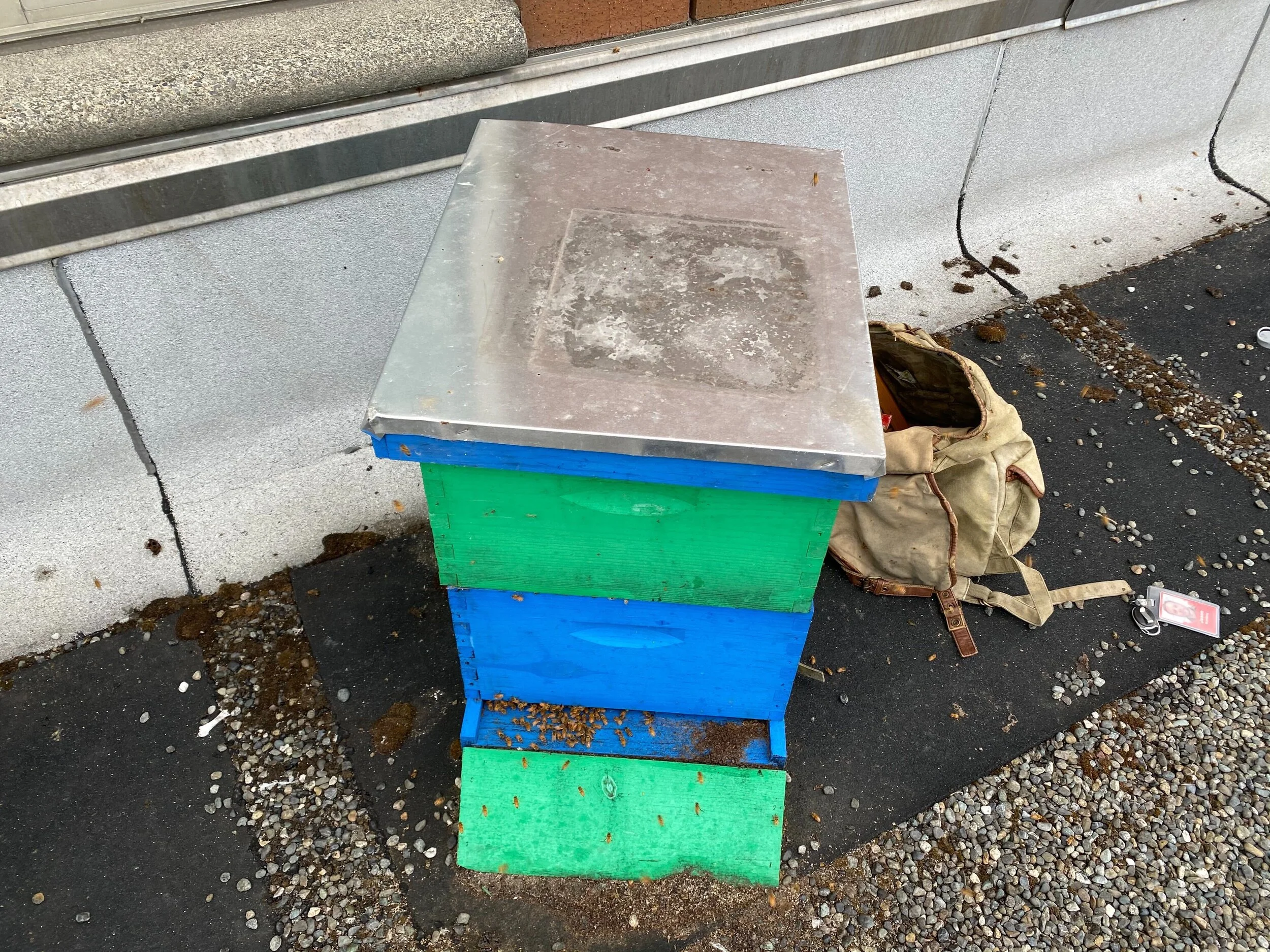 Inspection Report - 08/17/2020