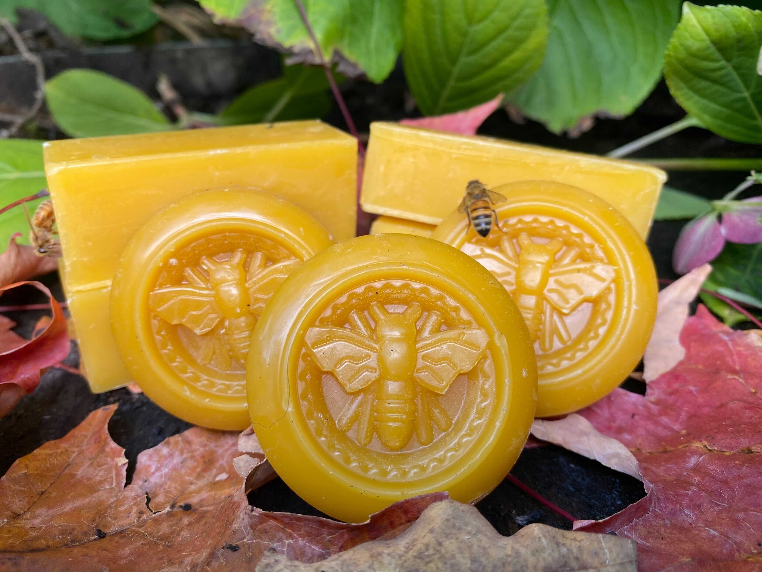 Pure Virgin Beeswax - 6oz