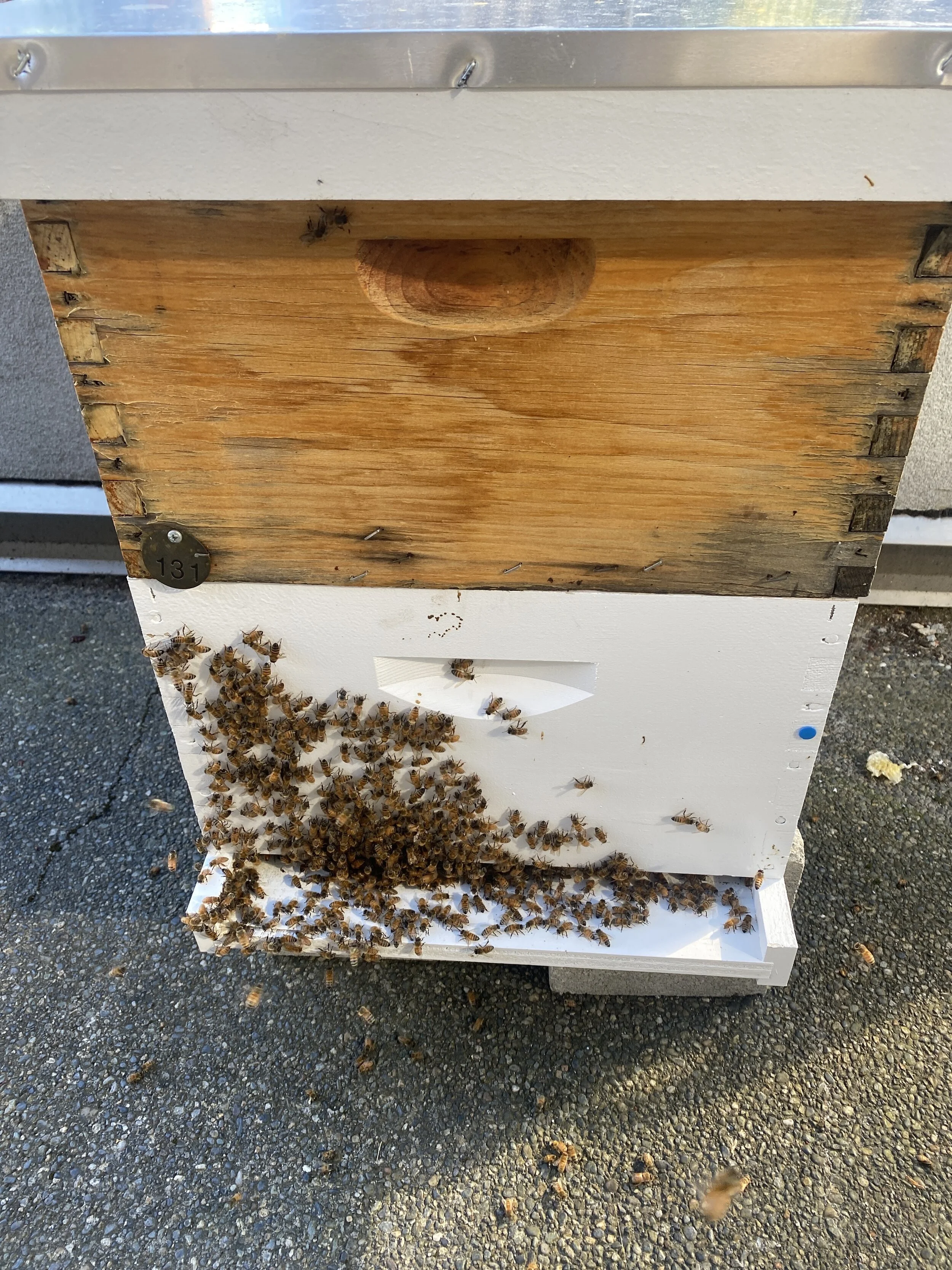 Inspection Report - 06/26/2021