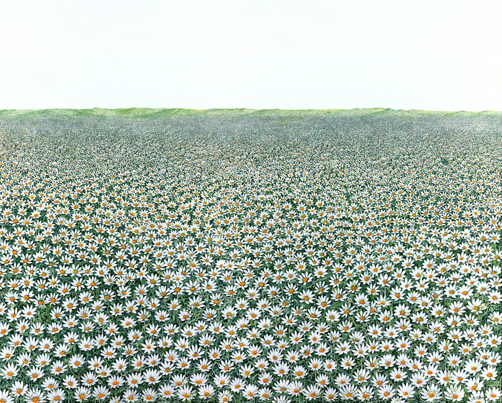 B-MACE_005_A-Field-of-Daisies_WEB.jpg