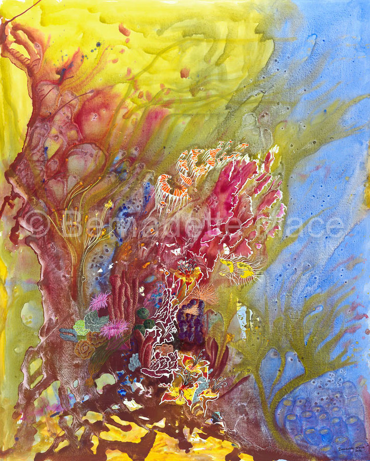 B-MACE_006_Under-the-Sea_WEB.jpg
