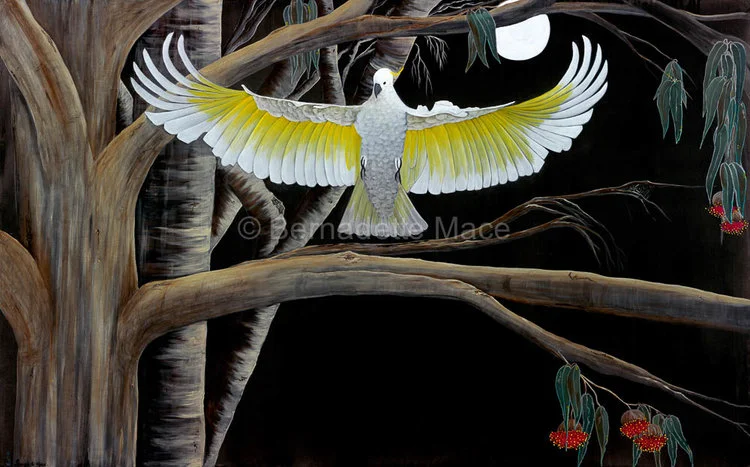 B-MACE_009_Cockatoo_WEB-2.jpg