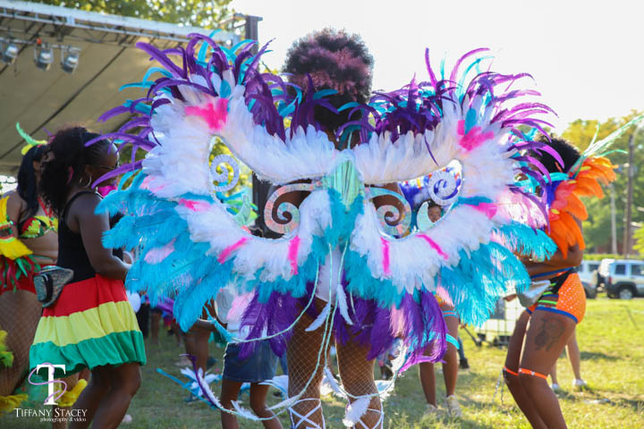 caribbeanfestival_columbusohio_eventphotography-1.jpg