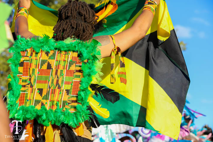 caribbeanfestival_columbusohio_eventphotography-2.jpg