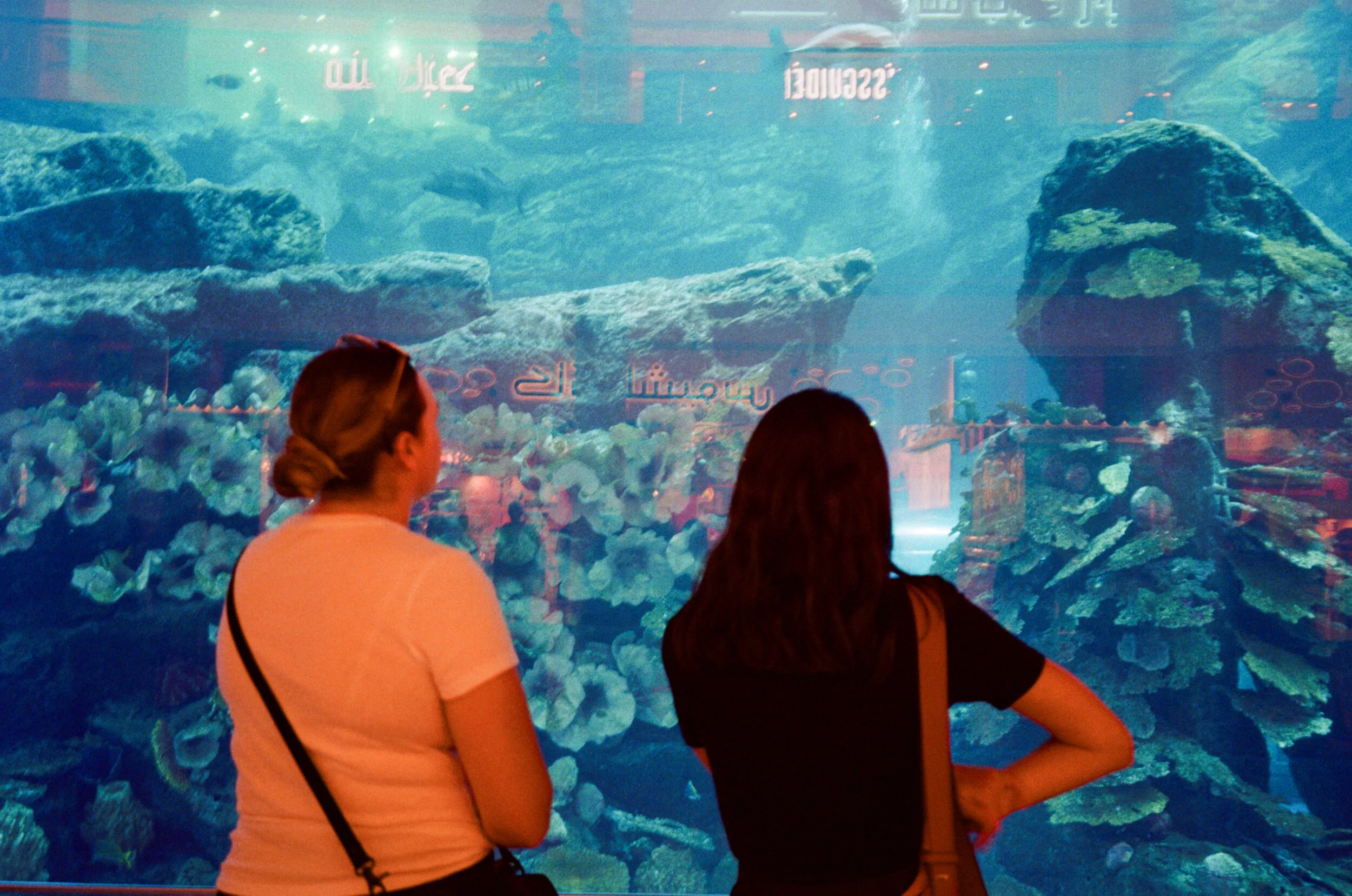 Photo 5-3-19, 4 54 44 pm (2).jpg