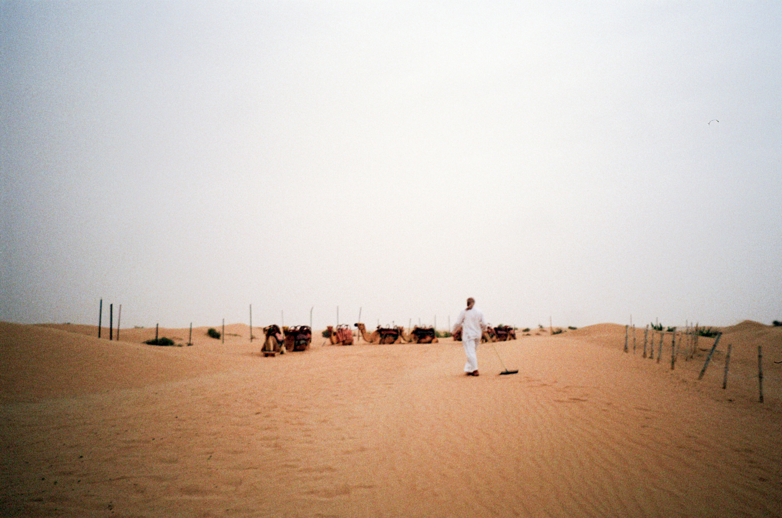 Photo 5-3-19, 4 55 08 pm.jpg