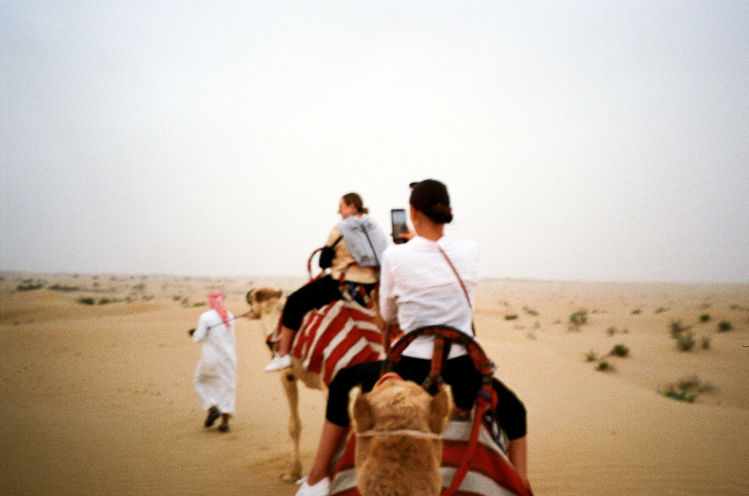 Photo 5-3-19, 4 55 10 pm.jpg