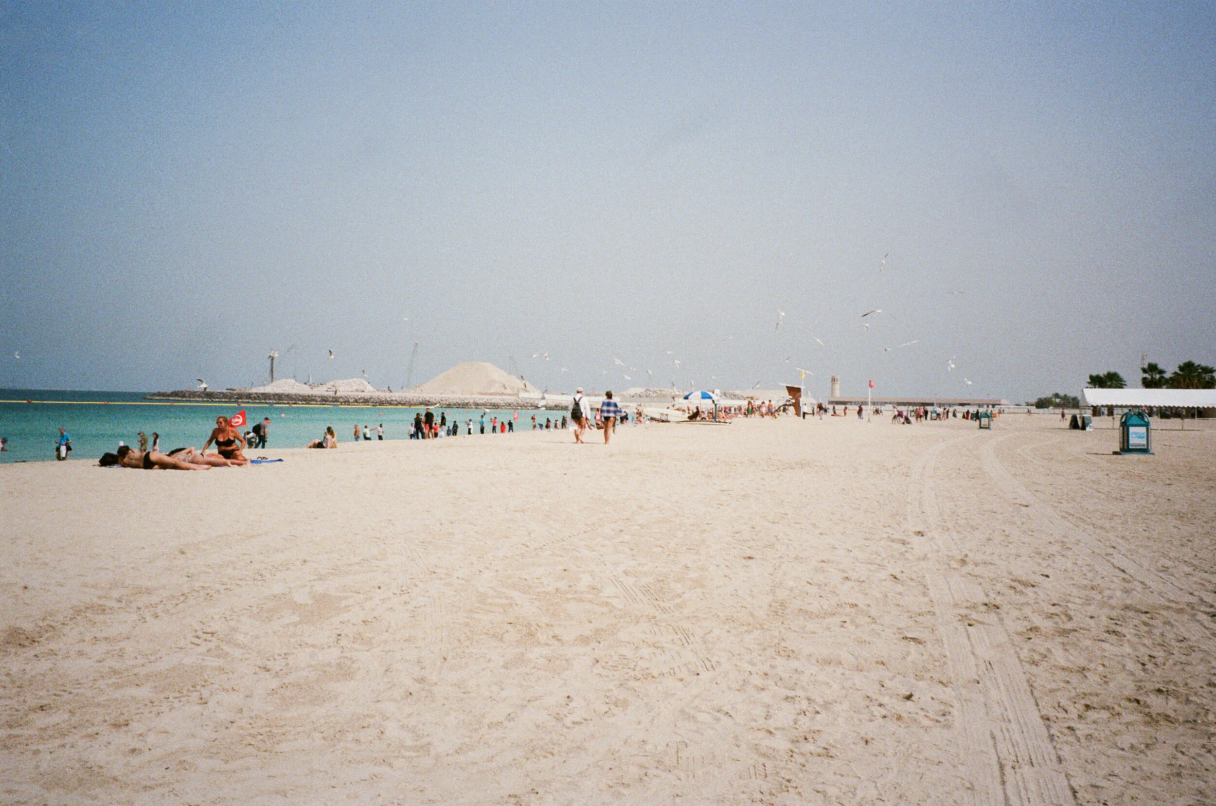 Photo 5-3-19, 4 55 25 pm (1).jpg