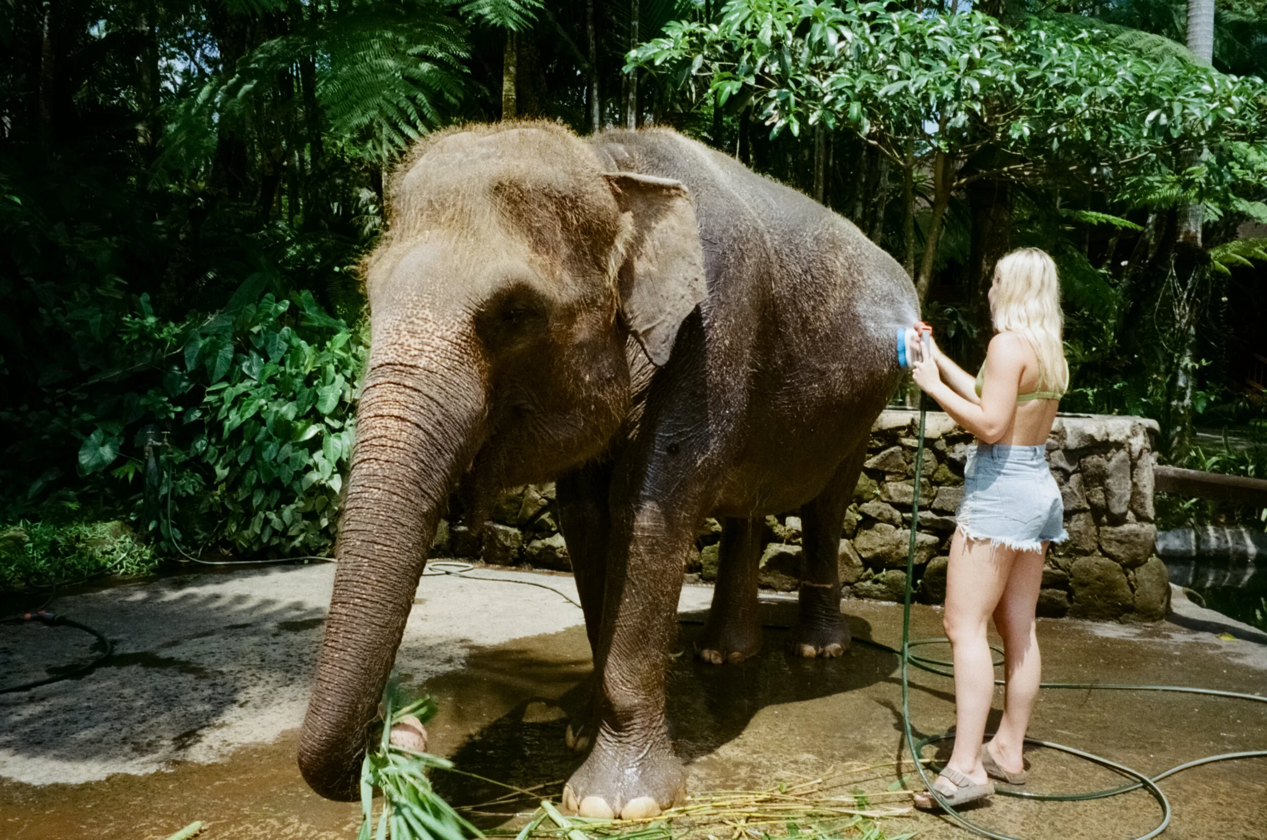 Photo 21-10-19, 1 30 28 pm (2).jpg