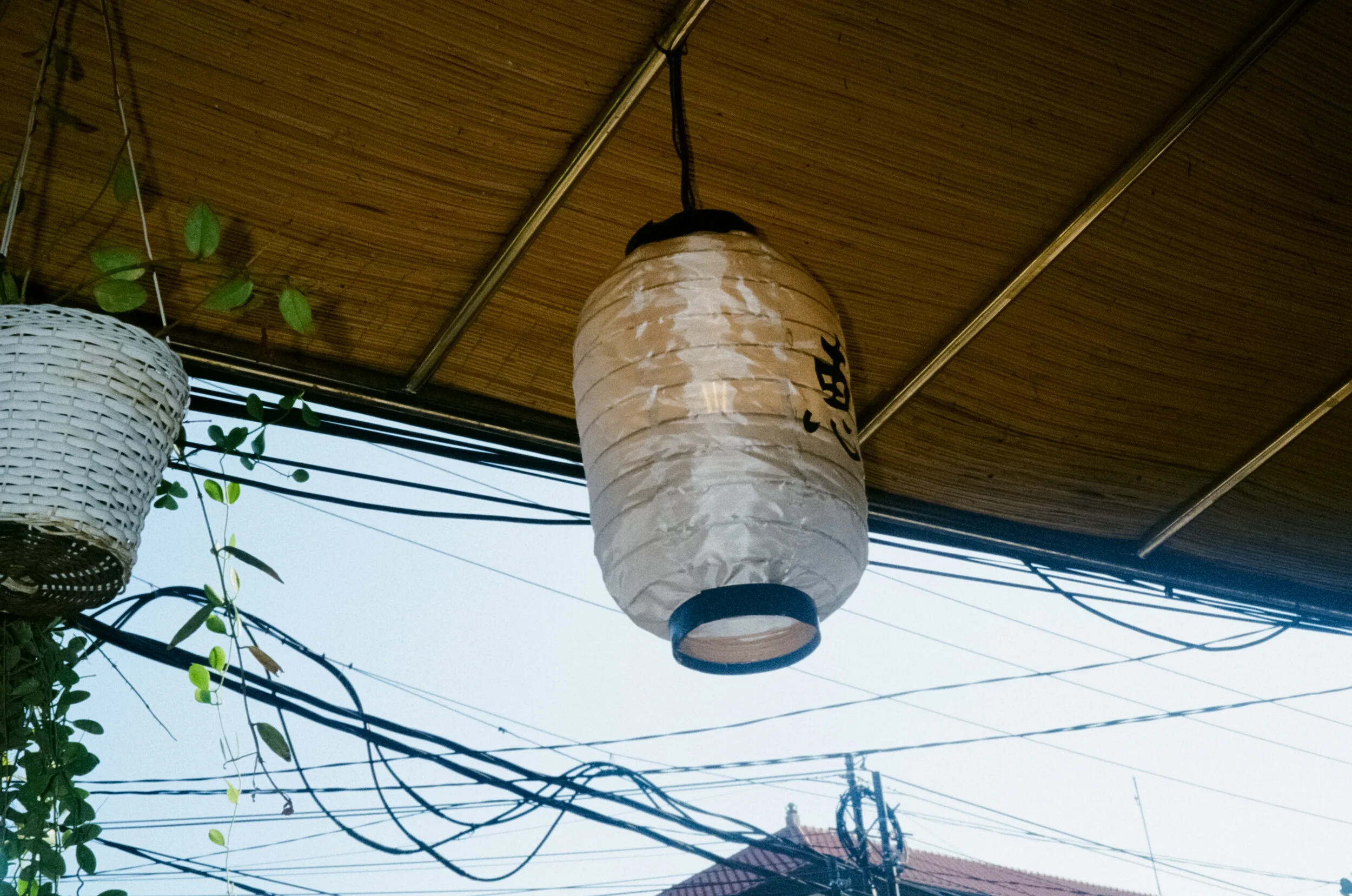 Photo 21-10-19, 1 30 36 pm (3).jpg