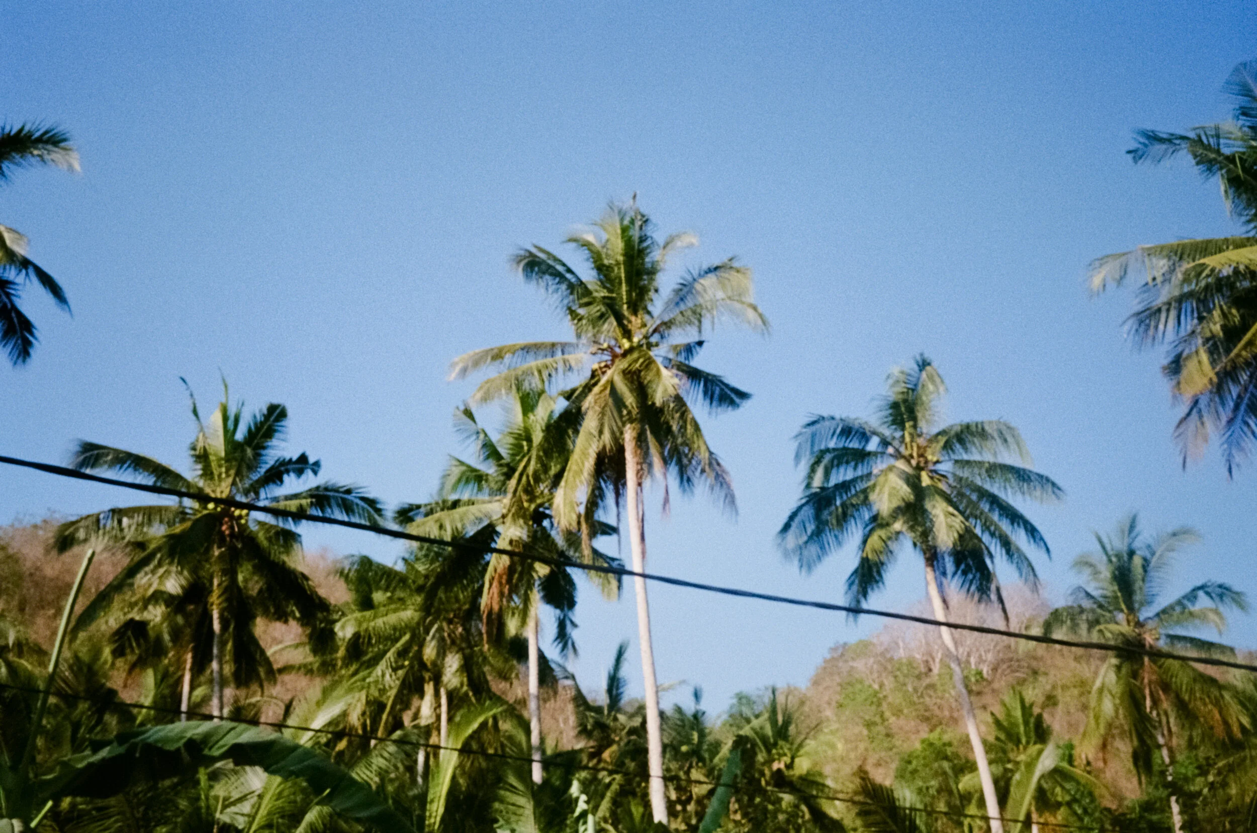 Photo 21-10-19, 1 31 21 pm.jpg