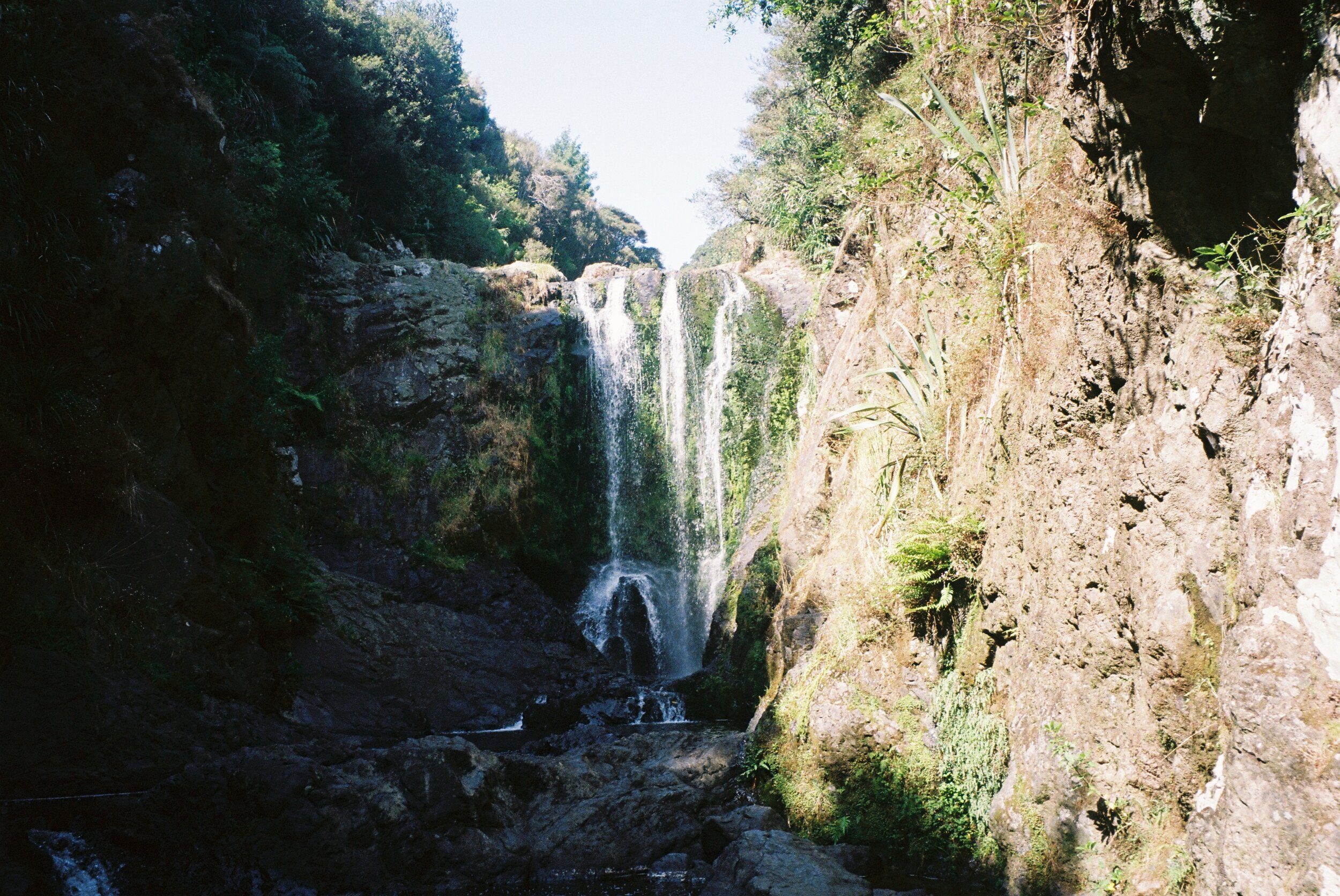 Photo 12-1-20, 3 57 14 am (6).jpg