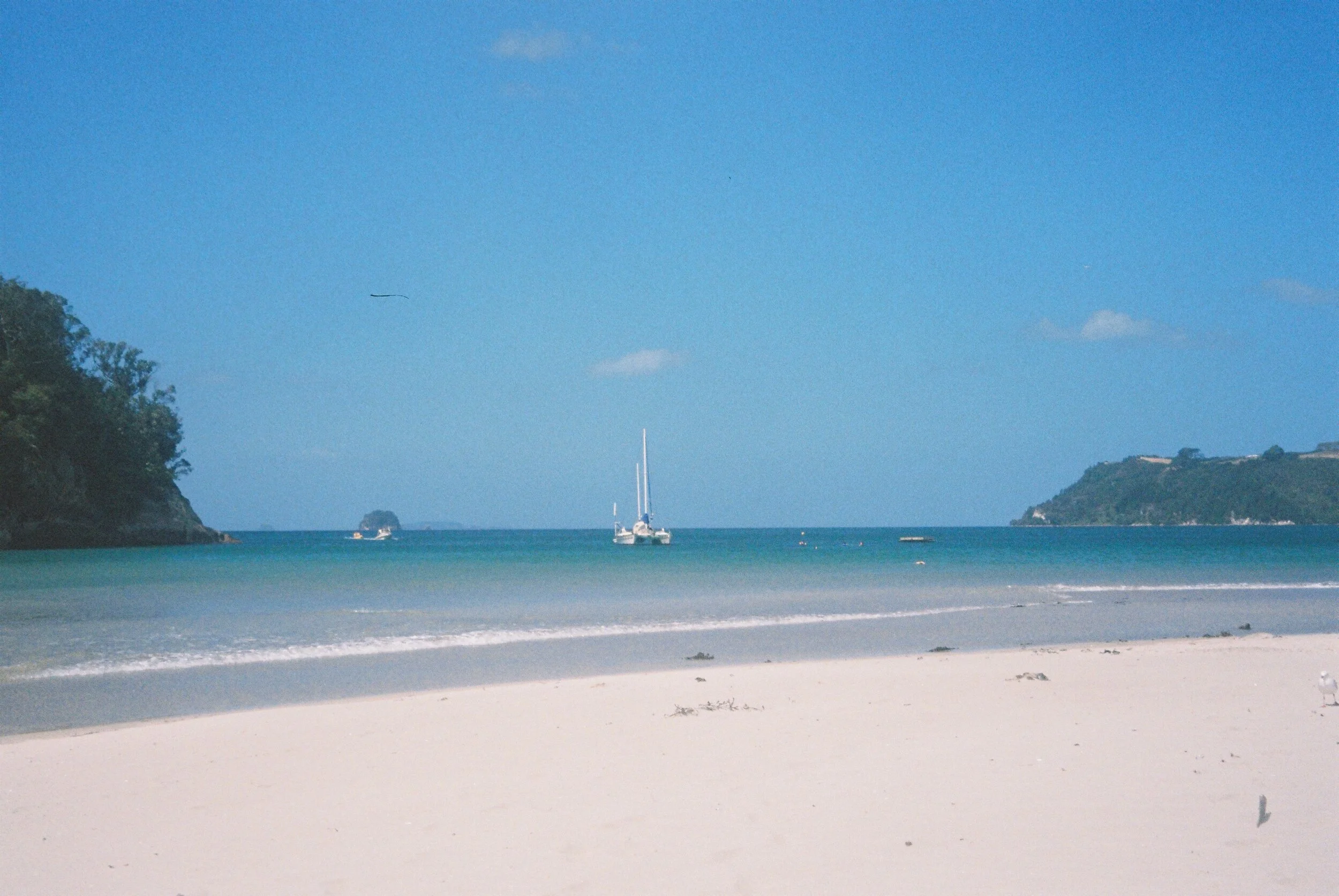 Photo 12-1-20, 3 57 14 am (8).jpg