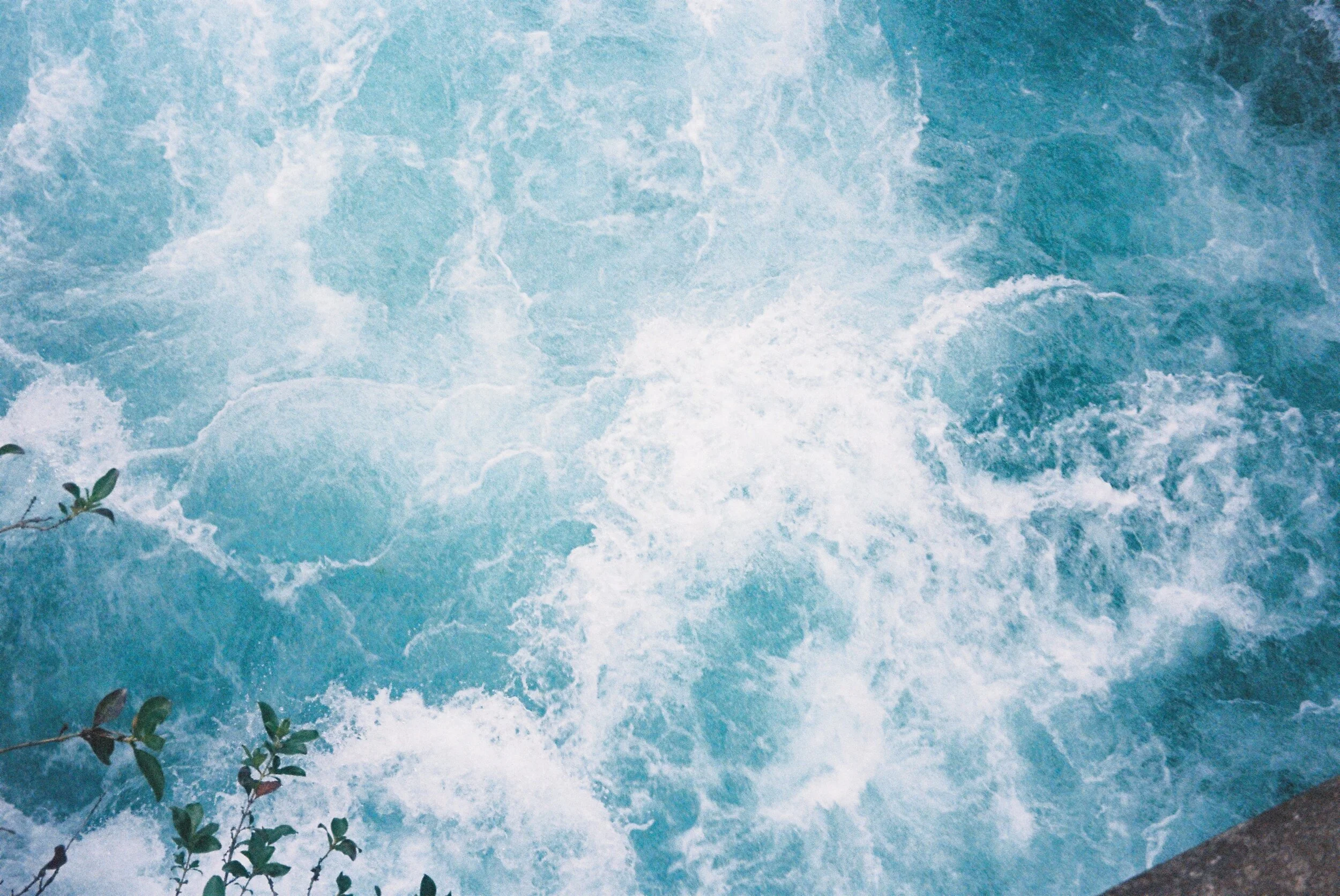 Photo 12-1-20, 3 57 14 am (33).jpg