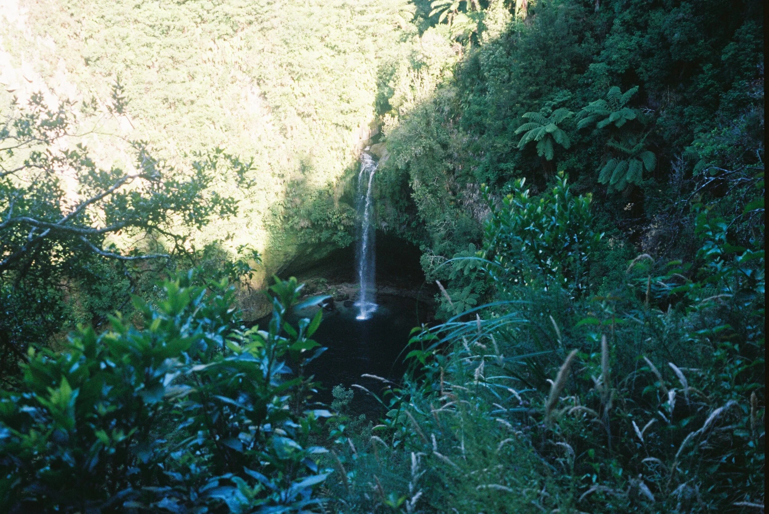 Photo 12-1-20, 3 57 14 am (46).jpg