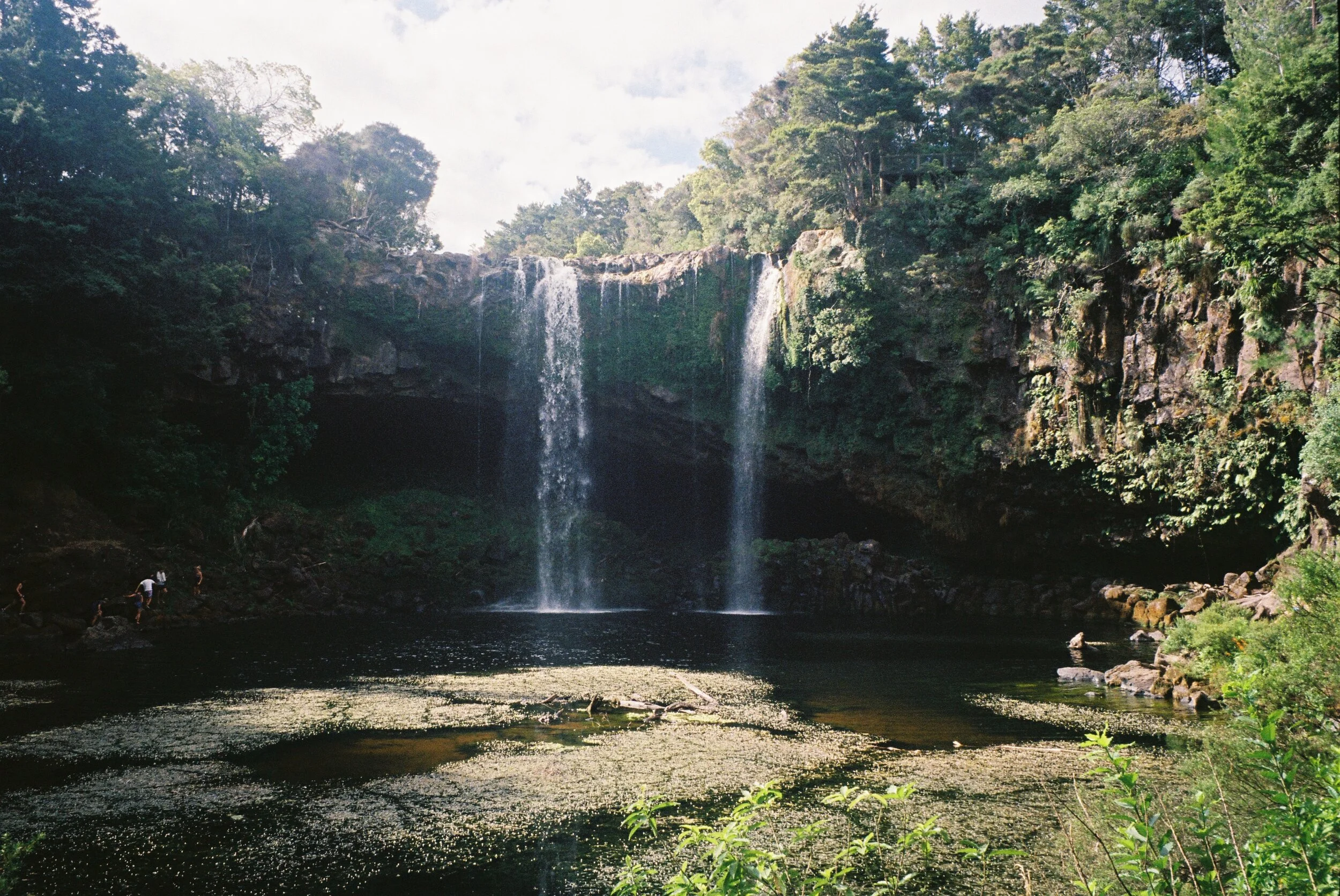 Photo 12-1-20, 3 57 14 am (7).jpg