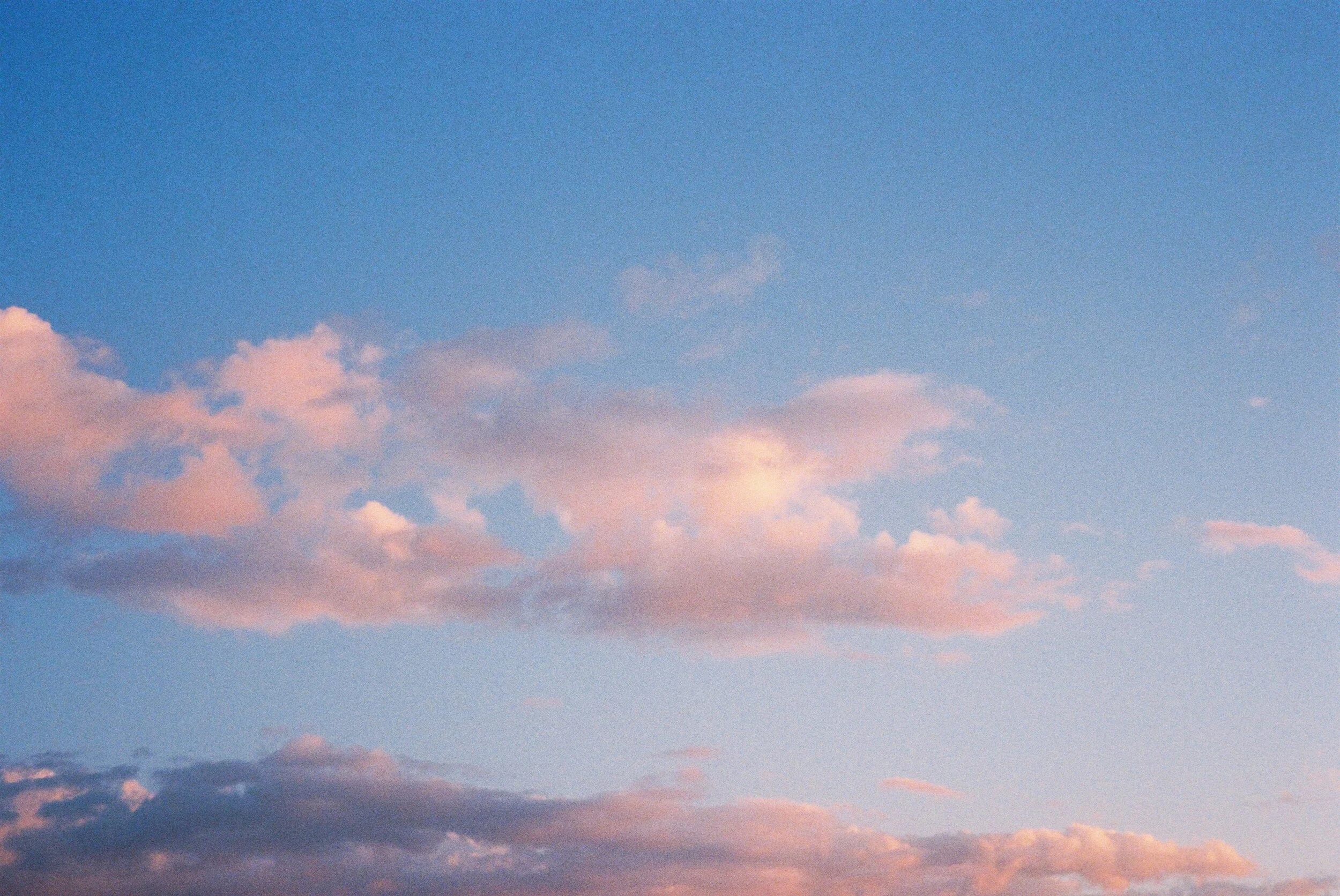 Photo 12-1-20, 3 57 14 am (64).jpg