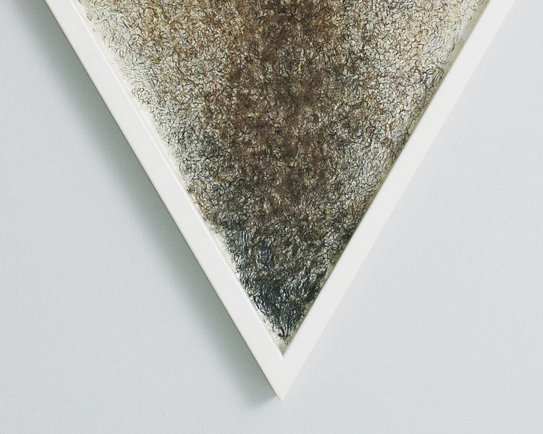 Vagina Wallcarpet close.jpg
