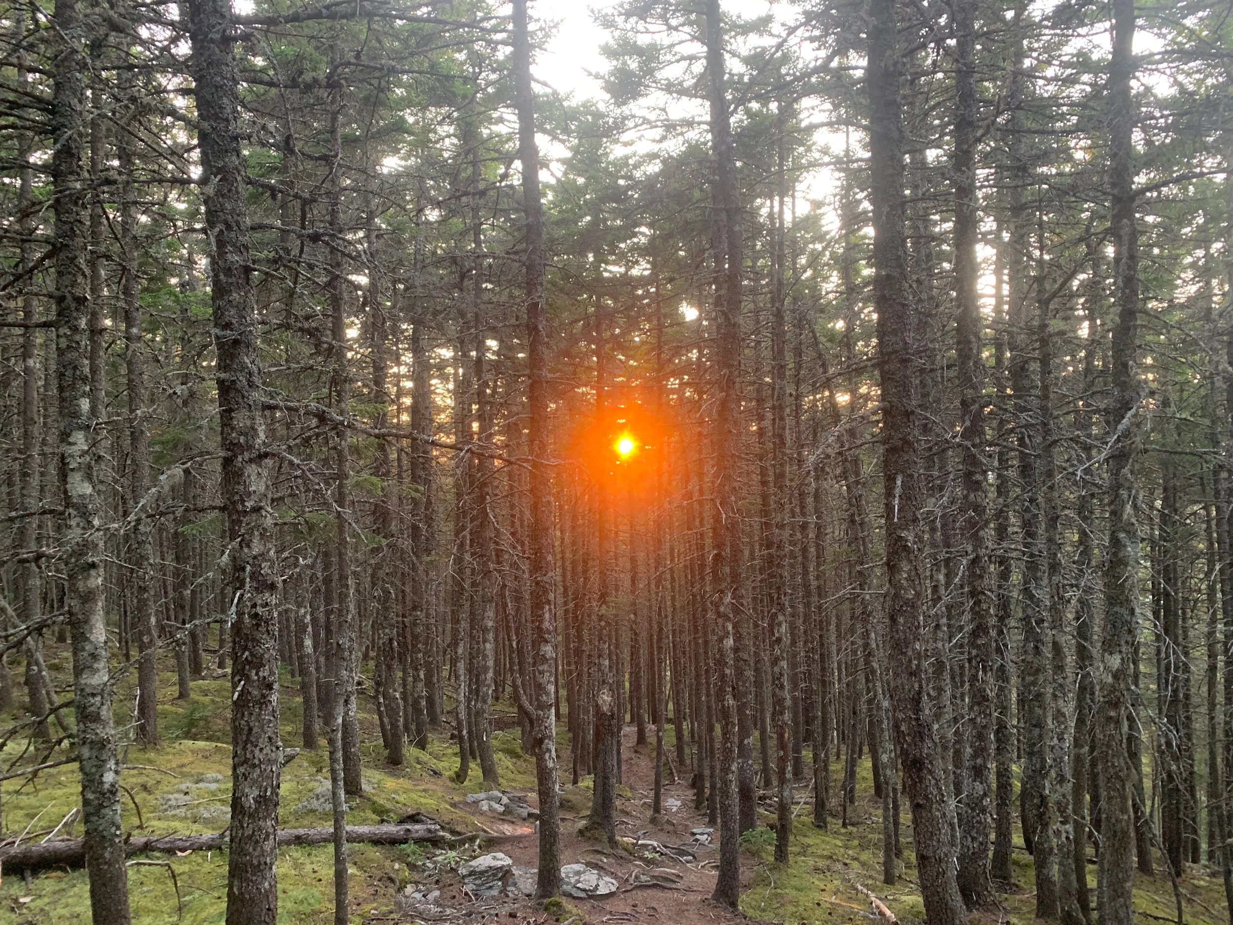 Sunset on the 100 mile wilderness