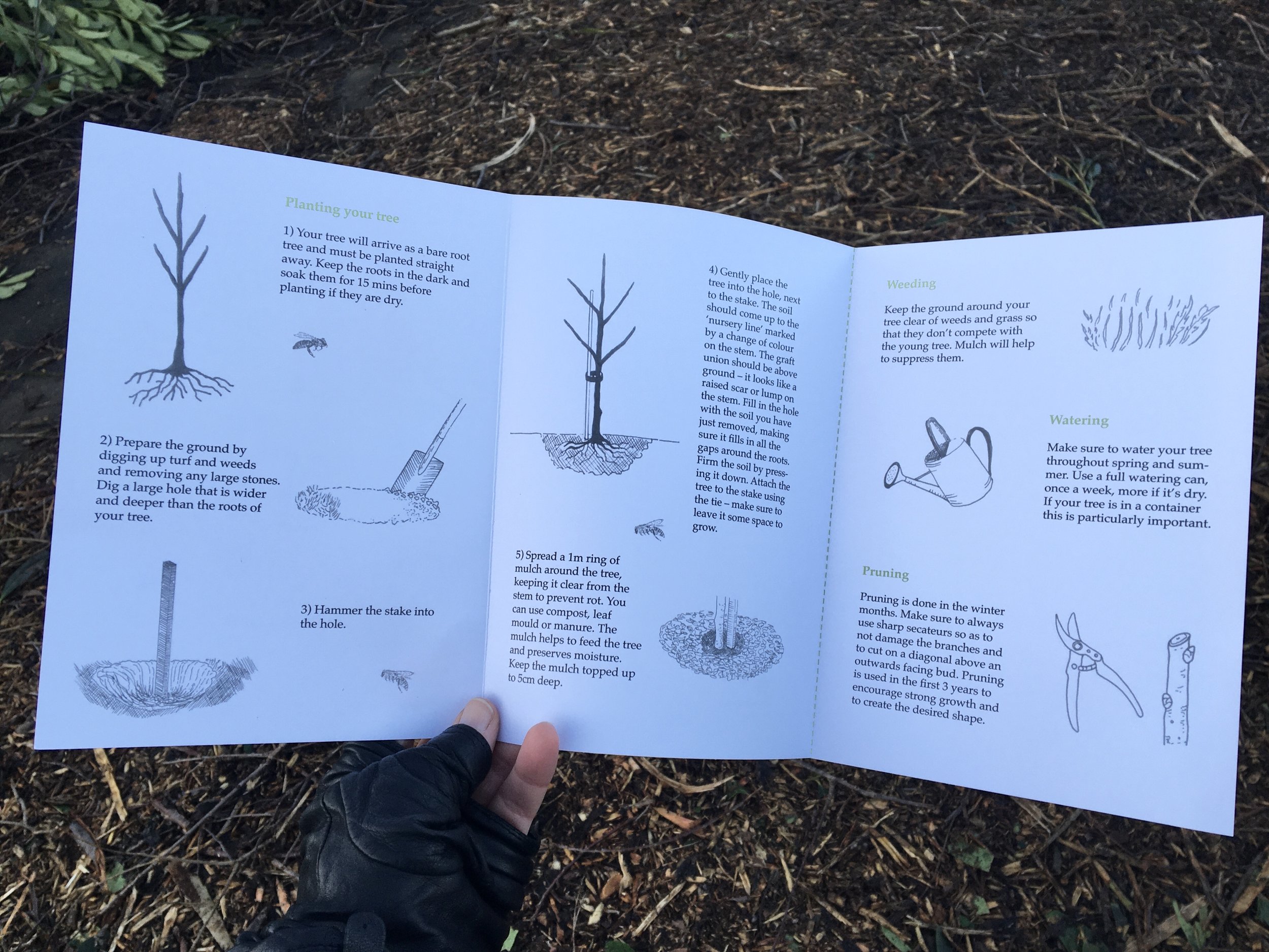  Each participant received an illustrated planting guide along with their tree, a stake and tie and some compost.  