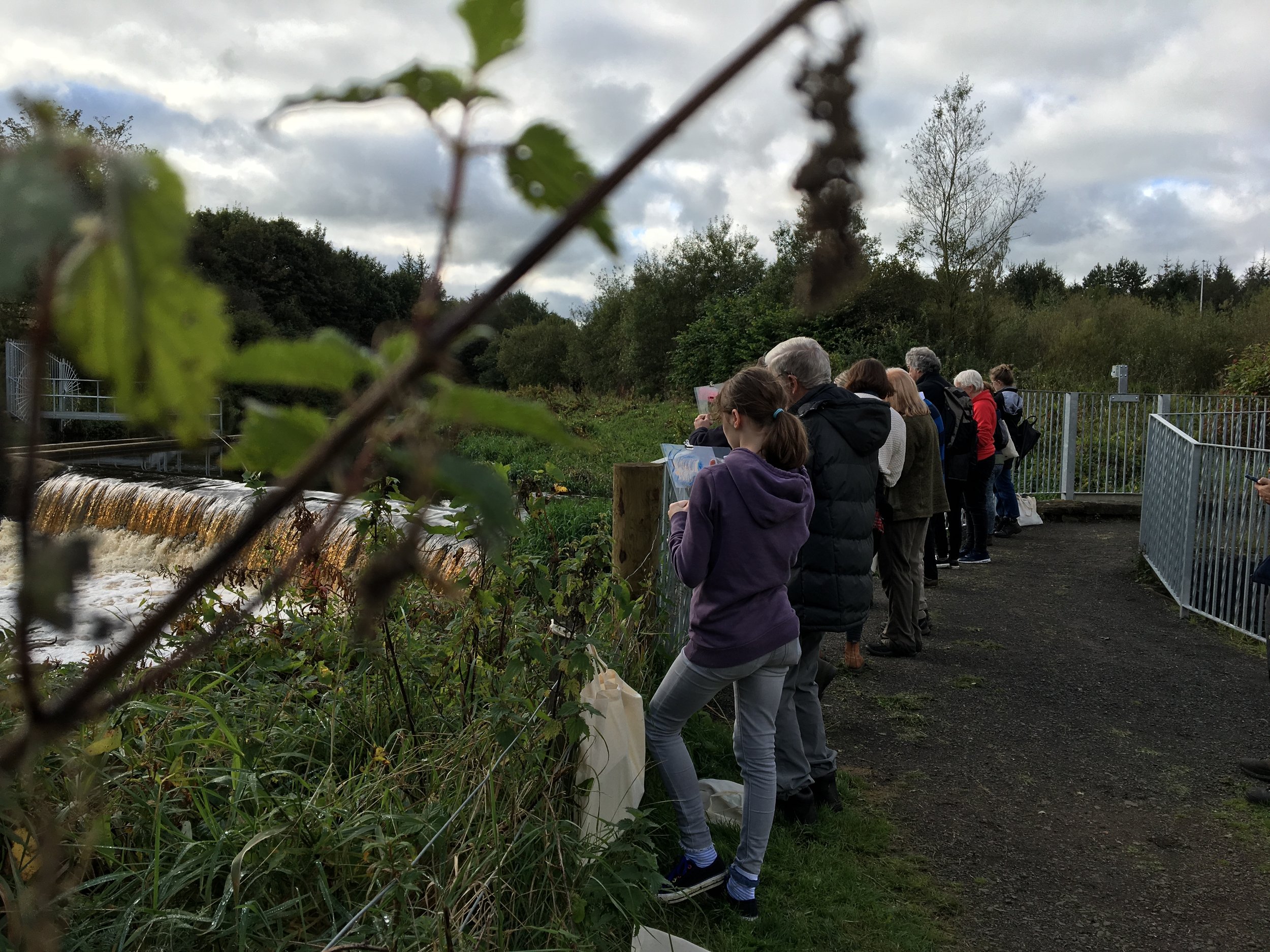  RiverLife Walk. Drawing on site at the River Almond in Livingston. 