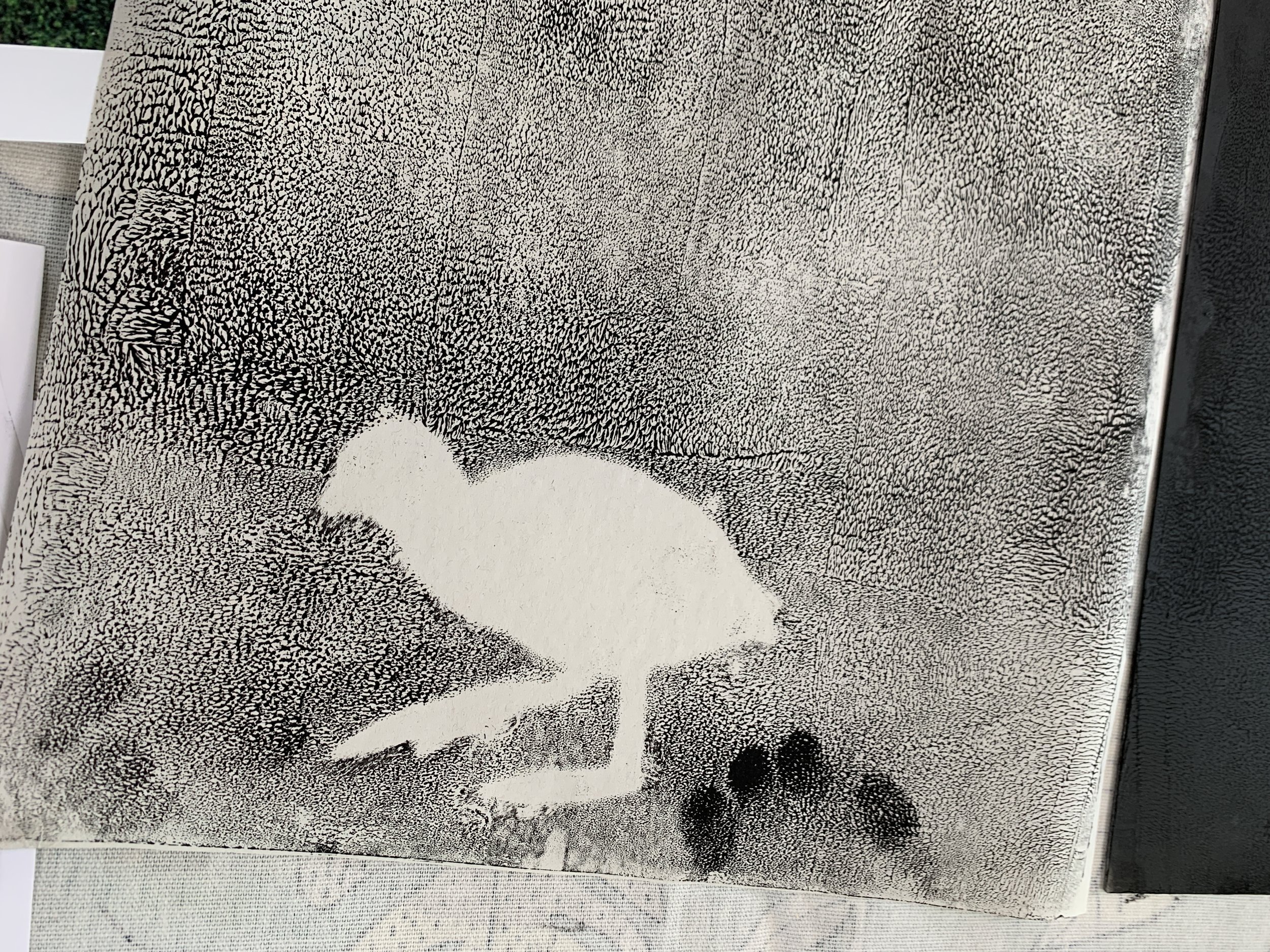  The printing workshops took inspiration from the wildlife of Kinghorn Loch.  