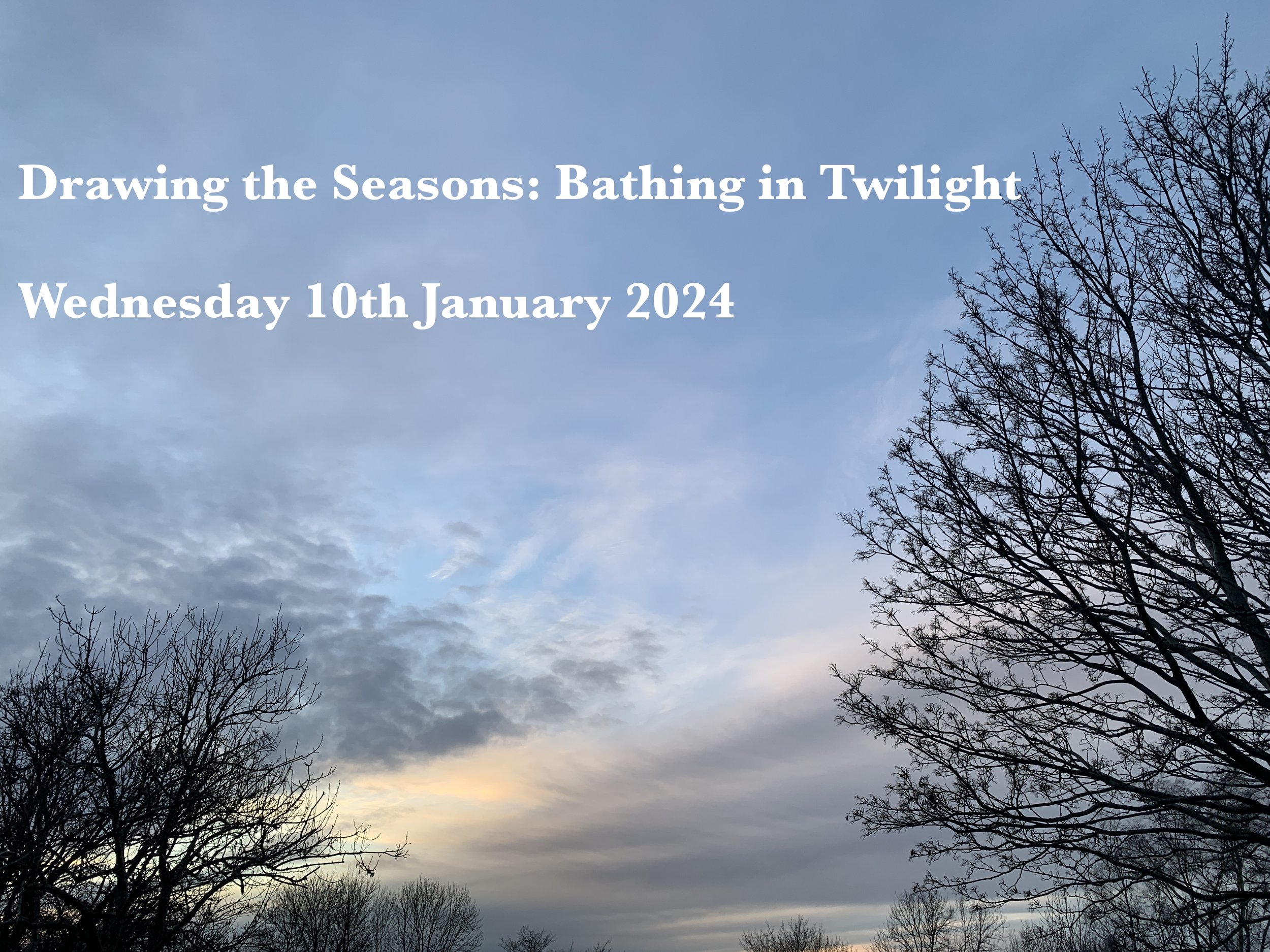  An online seasonal creative workshop where we’ll explore the moods and colours of twilight. Wednesday 10th January 10:00 - 12:30.  Book tickets here.     