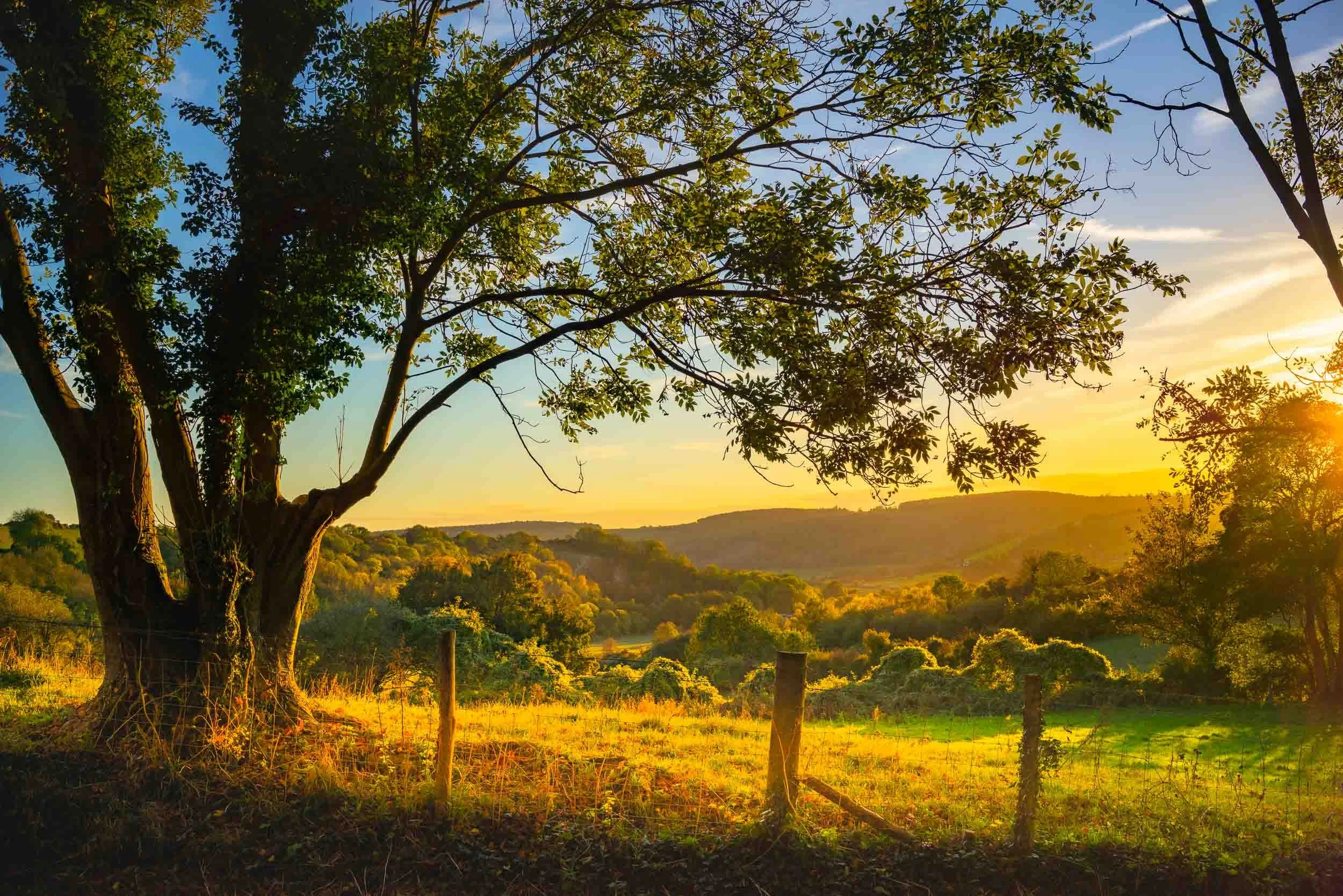 about-brand-filmworks