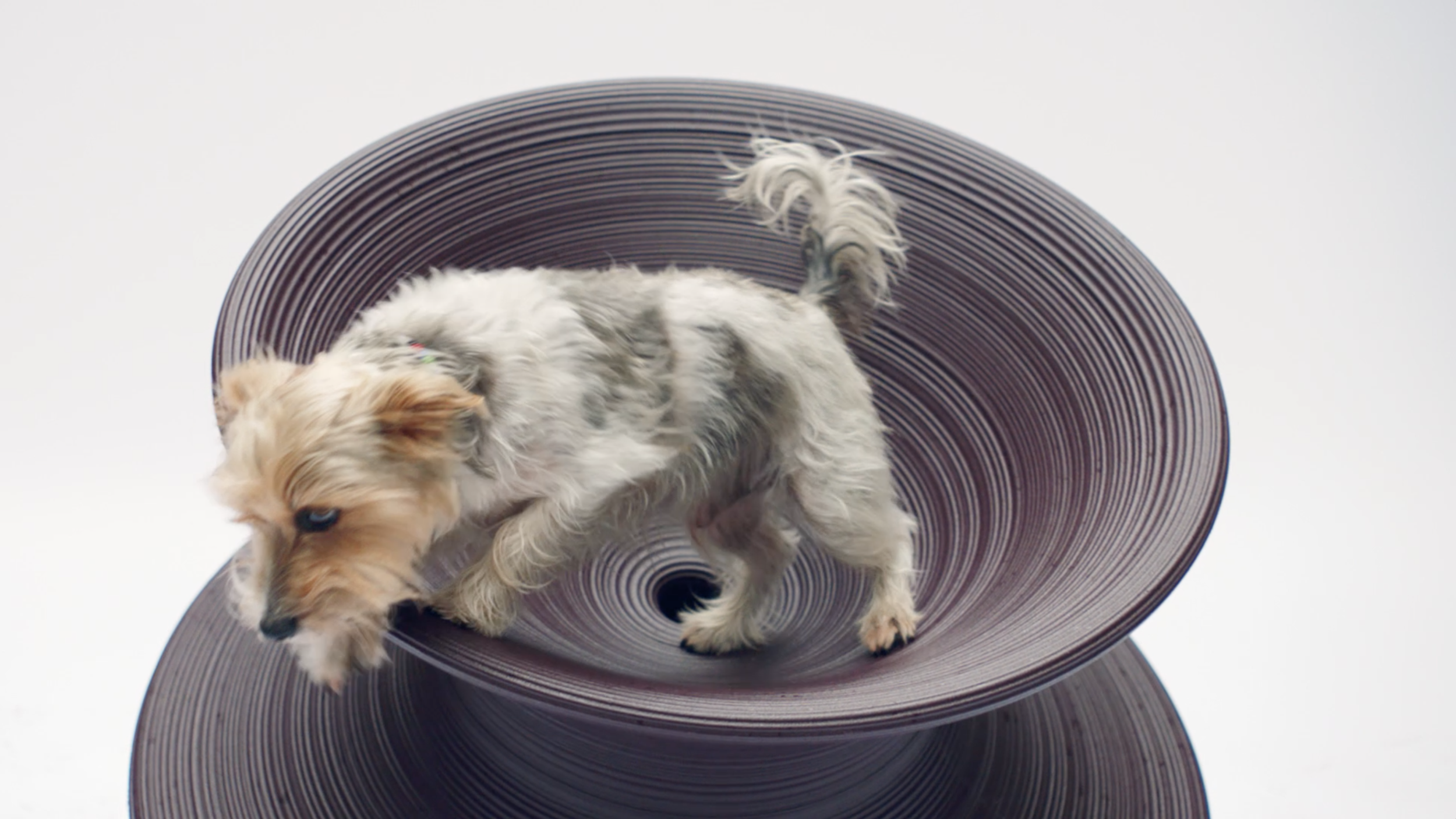 Thomas Heatherwick - Spun