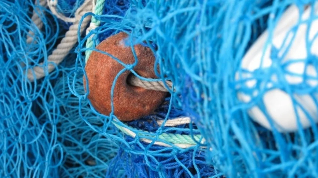 fishing-net.jpg