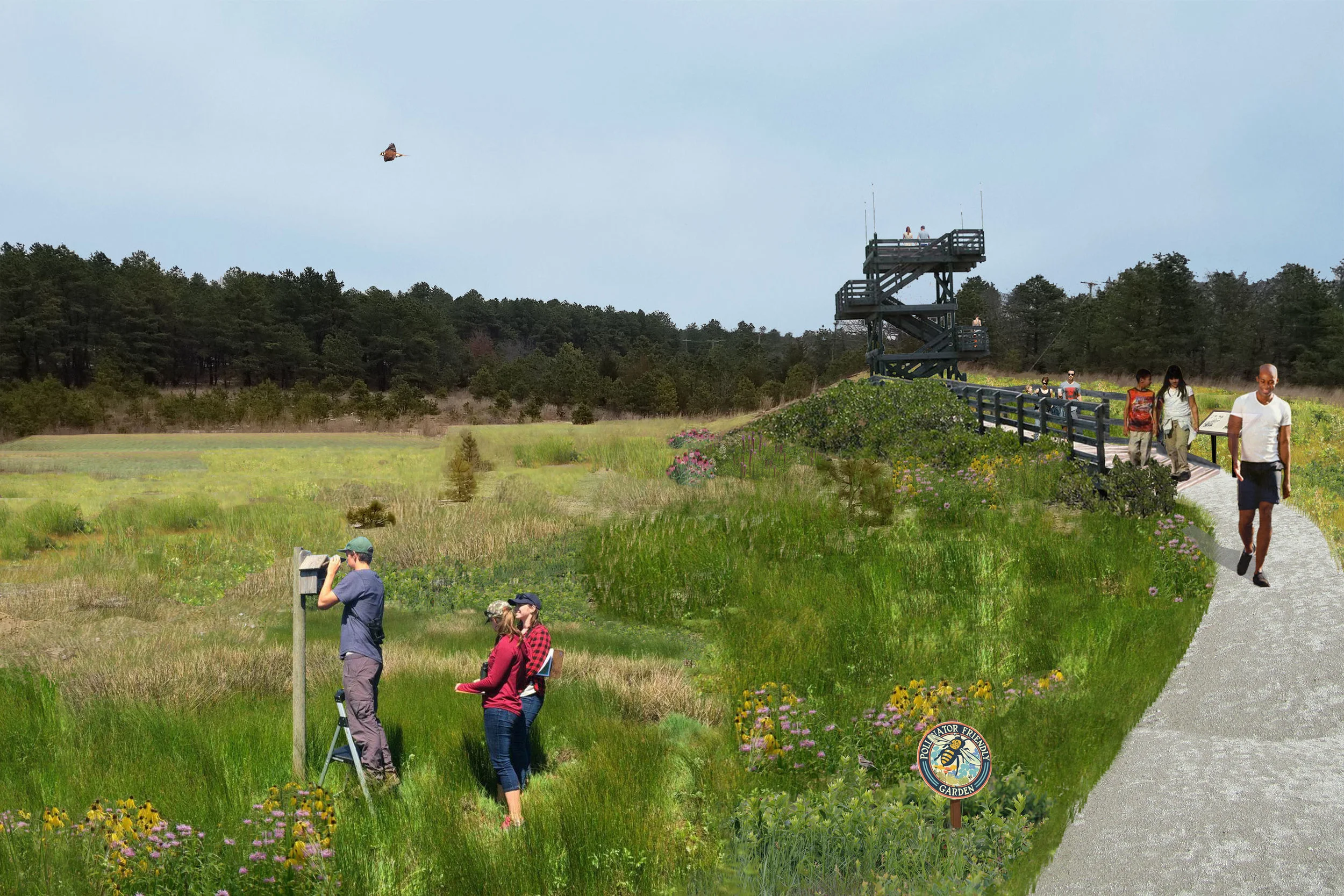 Dry Meadow