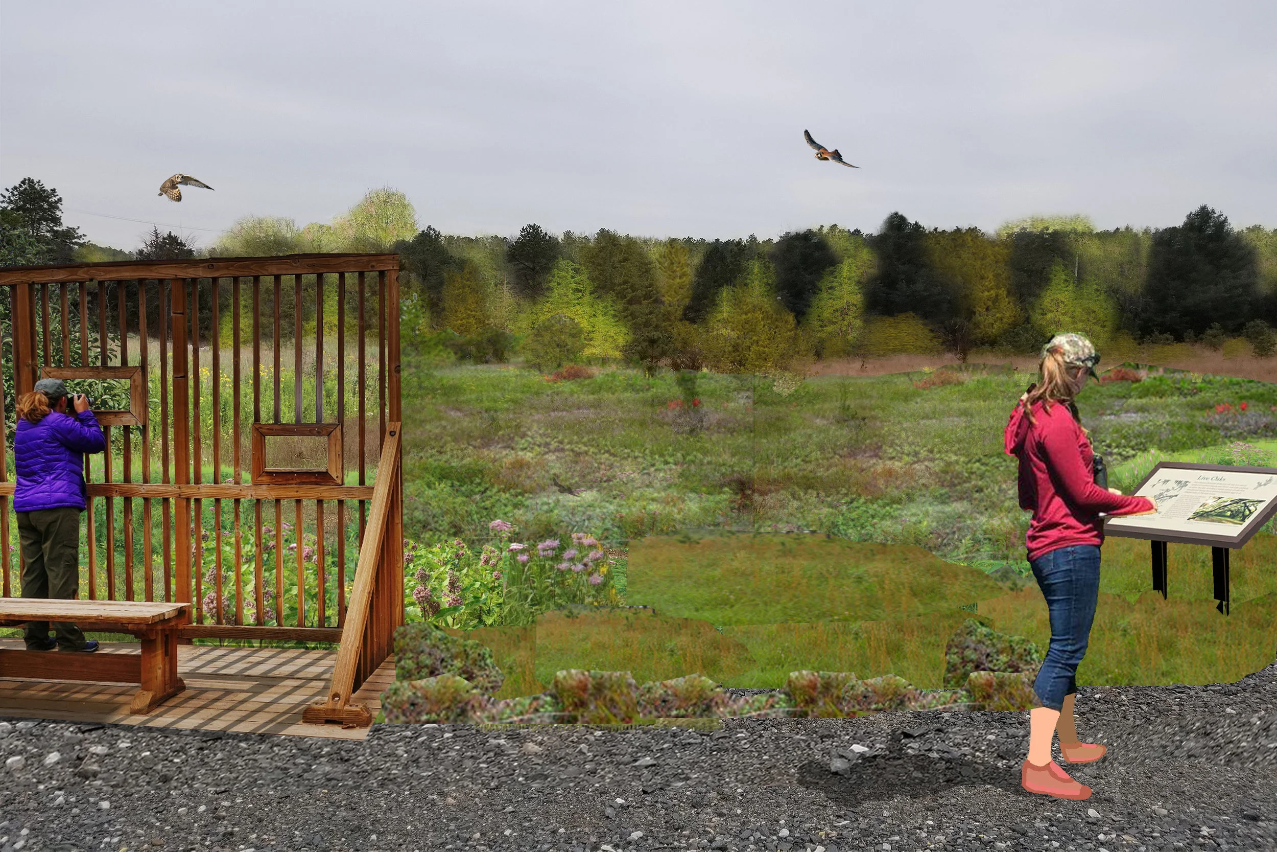 Bird Blind