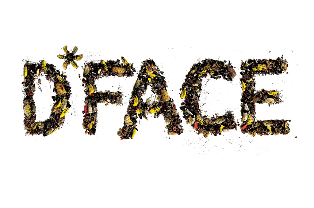 DFace-Bugged-Out-2011.jpg