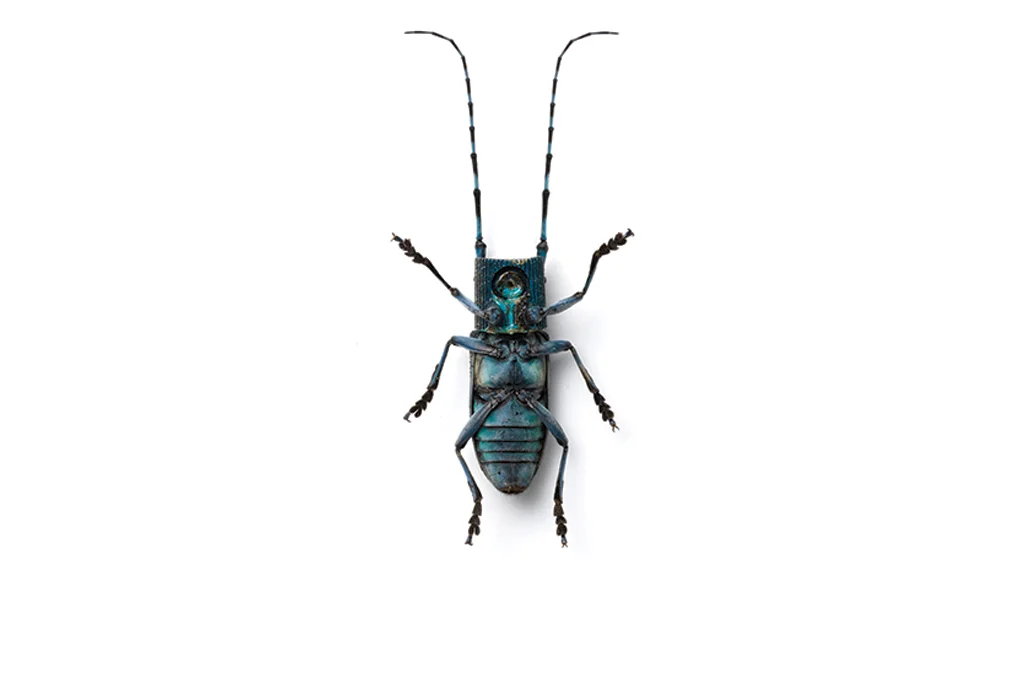 DFace-Splutterbug-2011.jpg