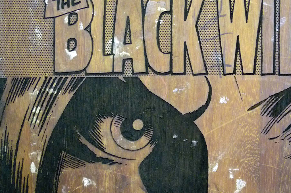 DFace-The-Black-Widow-Detail-2009.jpg