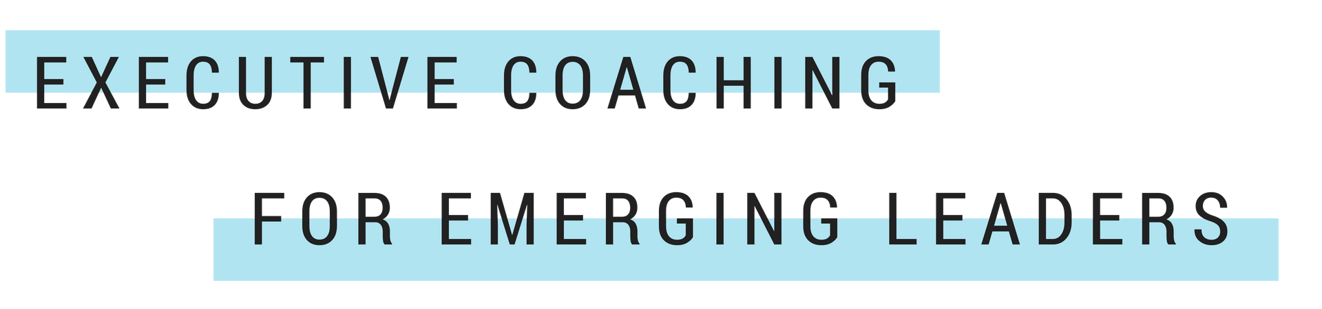 EXECUTIVE COACHING.png