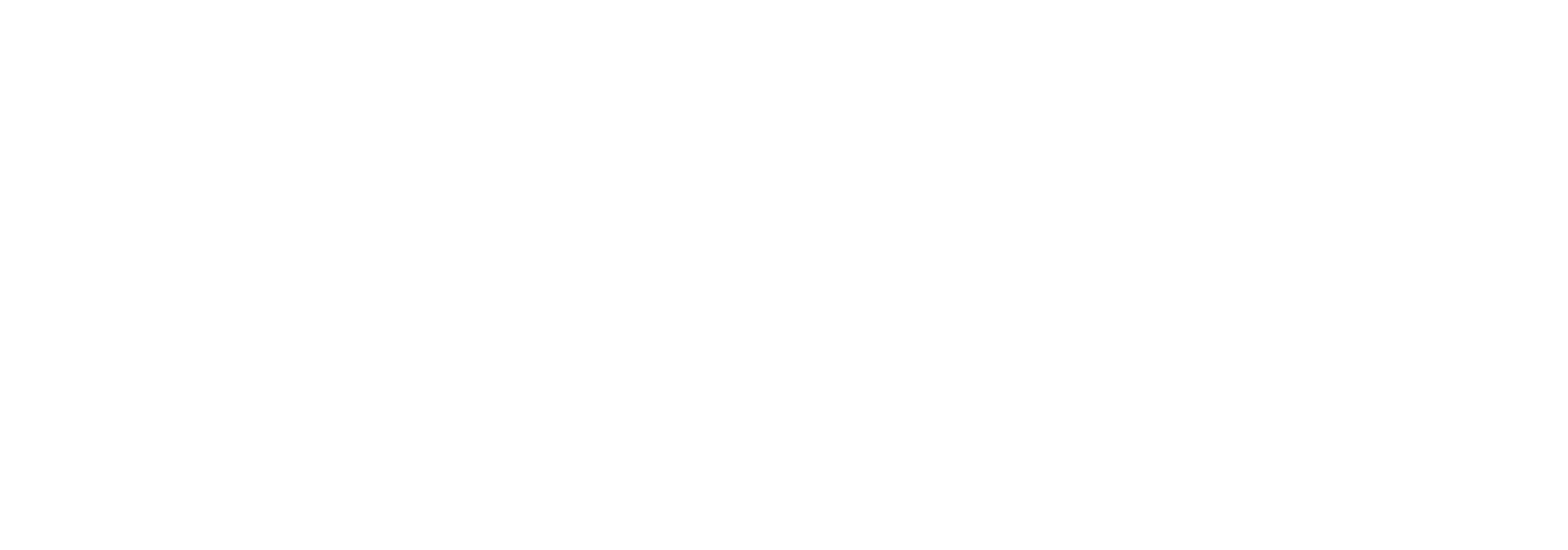 DownSeaLogo_White.png