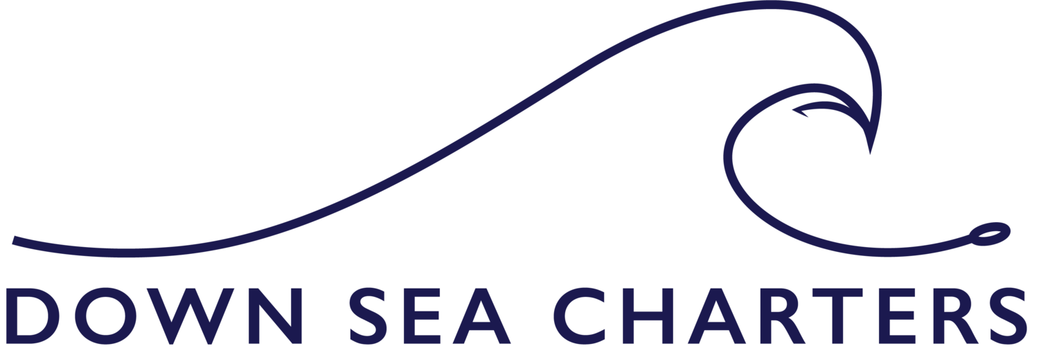 Down Sea Charters
