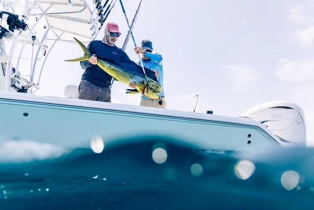 Summertime Offshore Fishing in Vero Beach: What's Biting Now