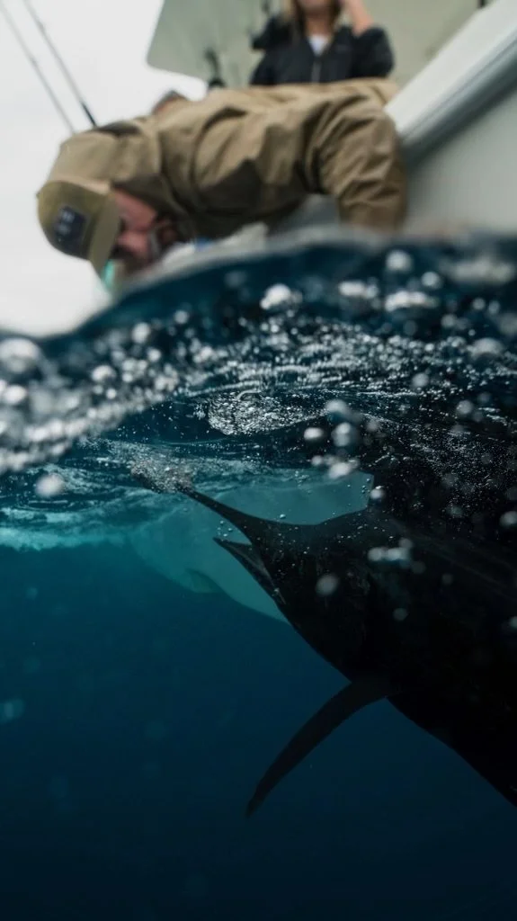 Summer Fishing and What's Biting in Vero Beach, FL